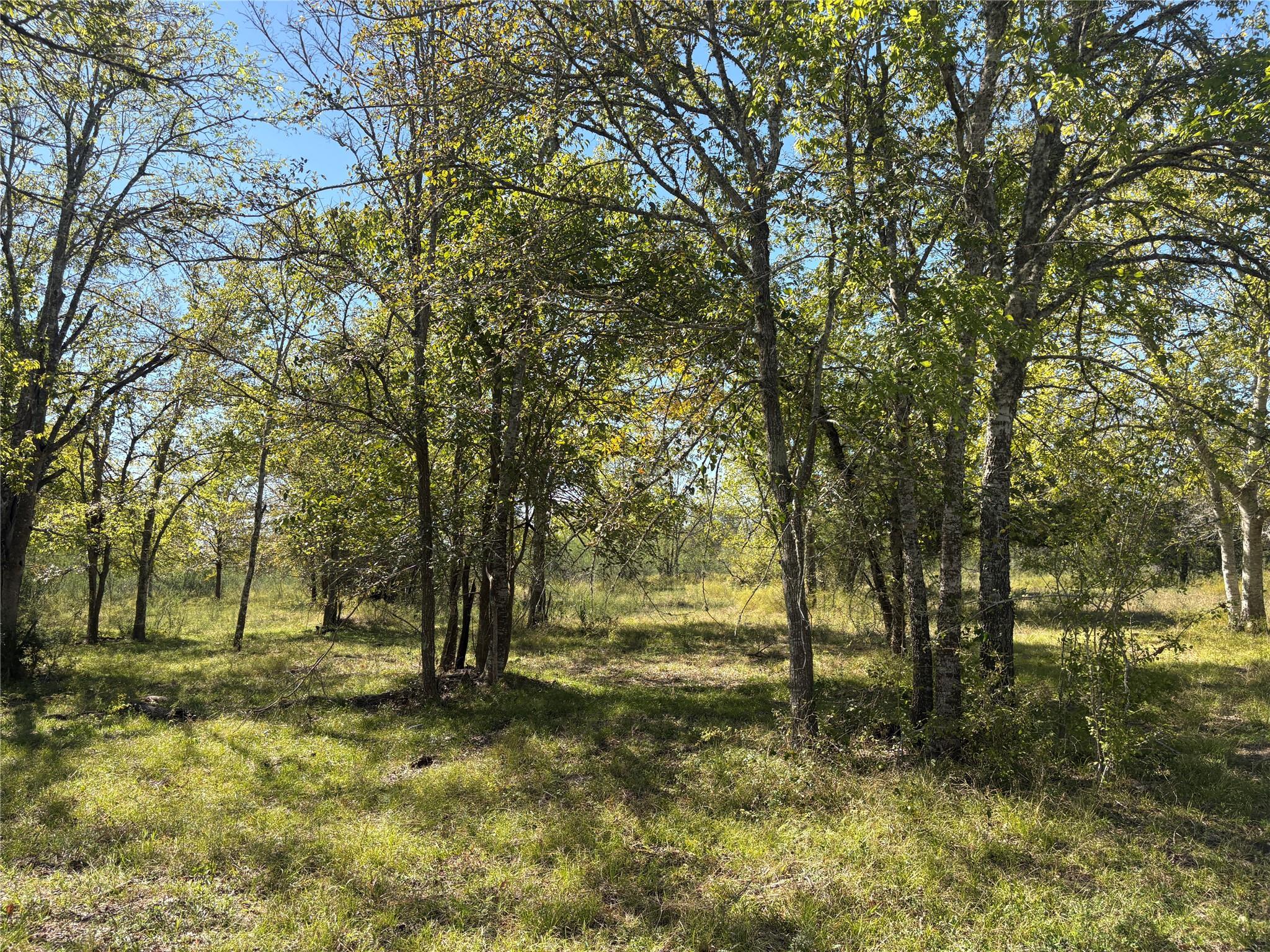 13.051 Acres Independence Drive, Bedias Tx 77831 Property Photo 11