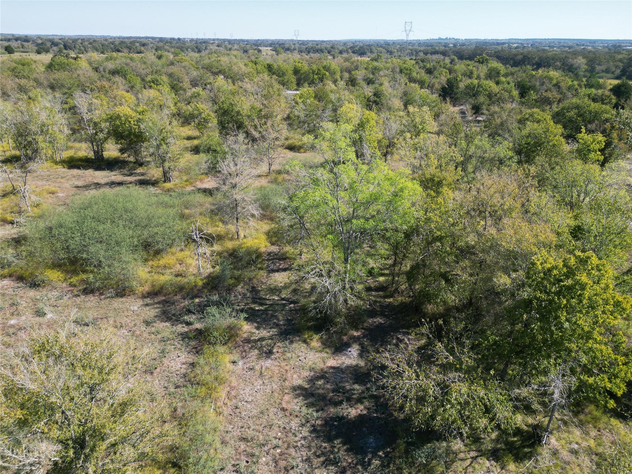 13.051 Acres Independence Drive, Bedias Tx 77831 Property Photo 13