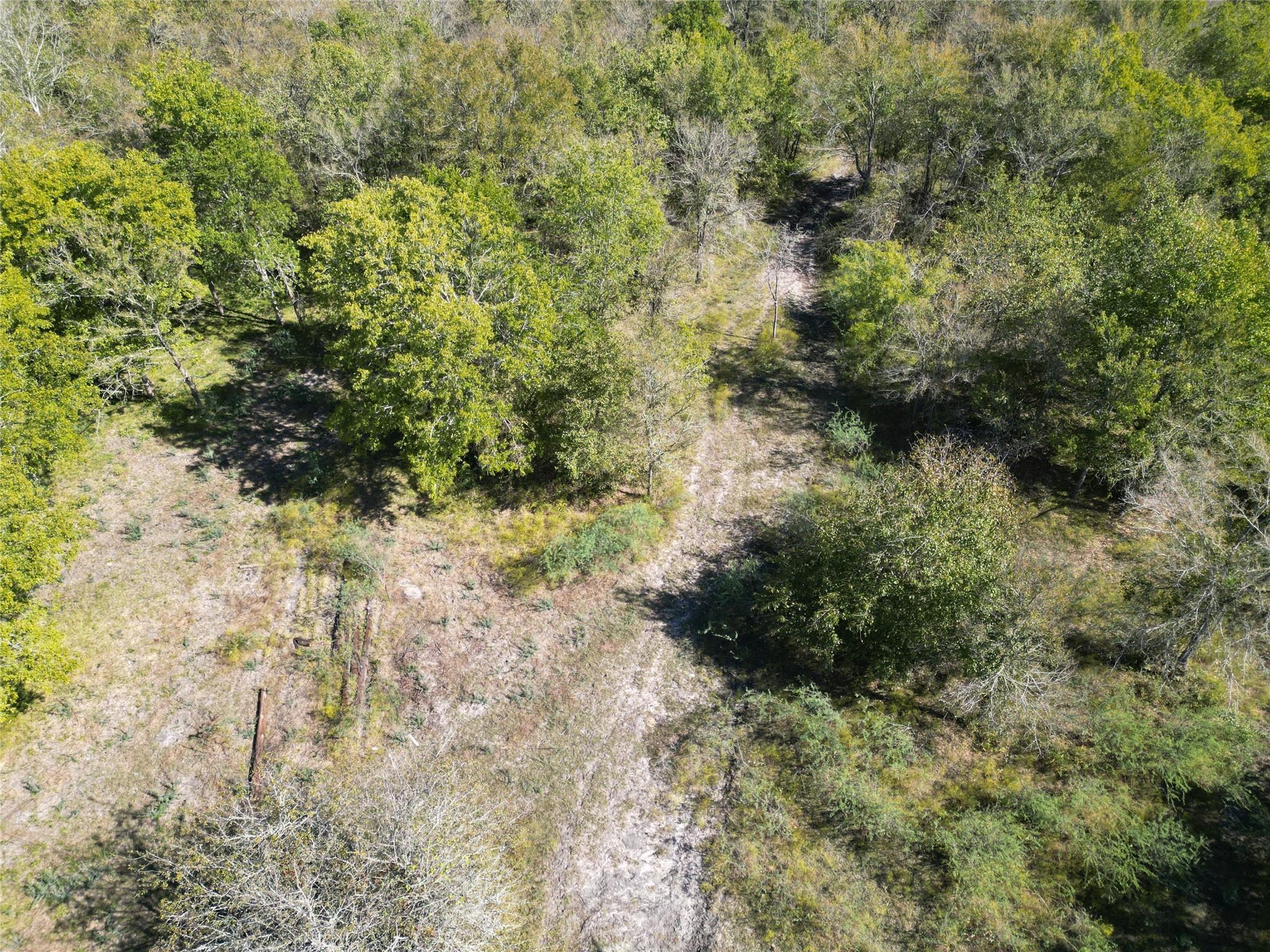 13.051 Acres Independence Drive, Bedias Tx 77831 Property Photo 17