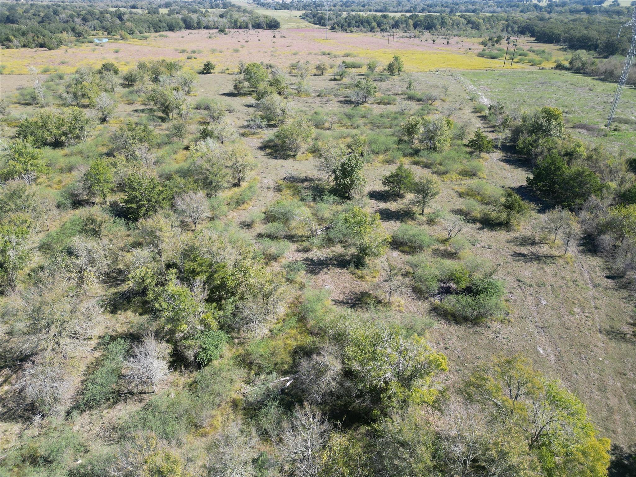 13.051 Acres Independence Drive, Bedias Tx 77831 Property Photo 29