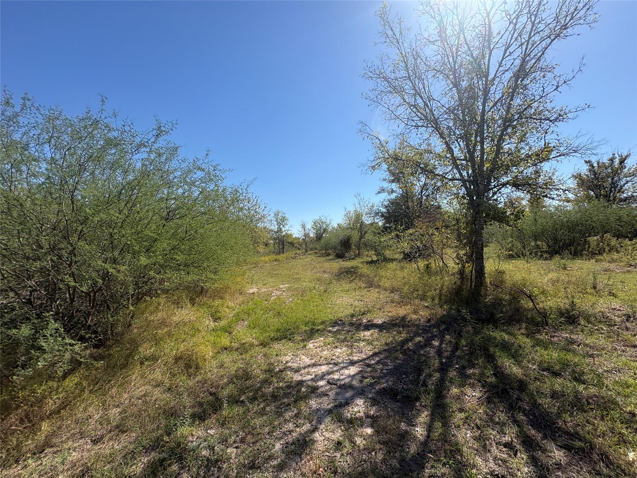 13.051 Acres Independence Drive, Bedias Tx 77831 Property Photo 32