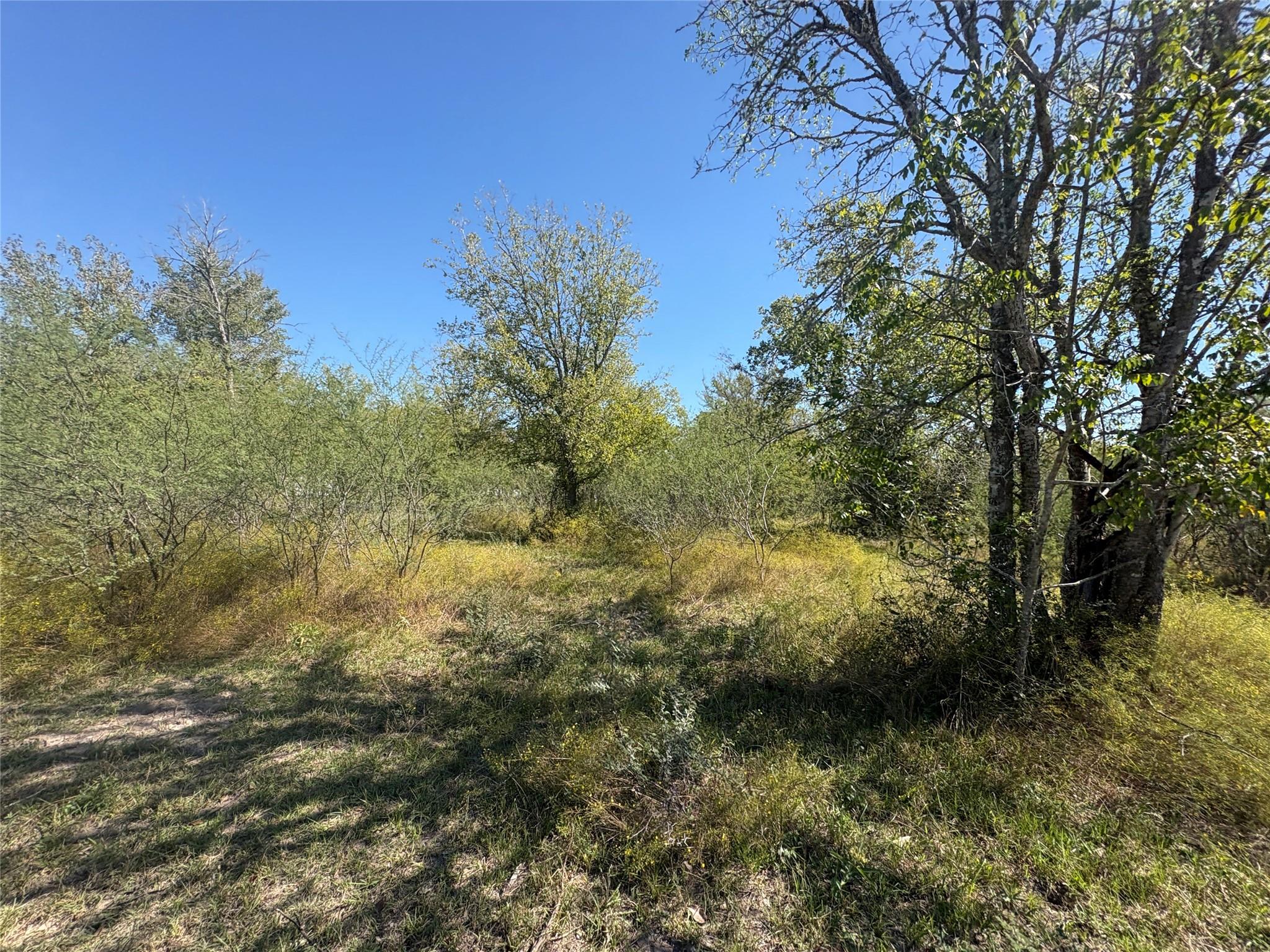 13.051 Acres Independence Drive, Bedias Tx 77831 Property Photo 34