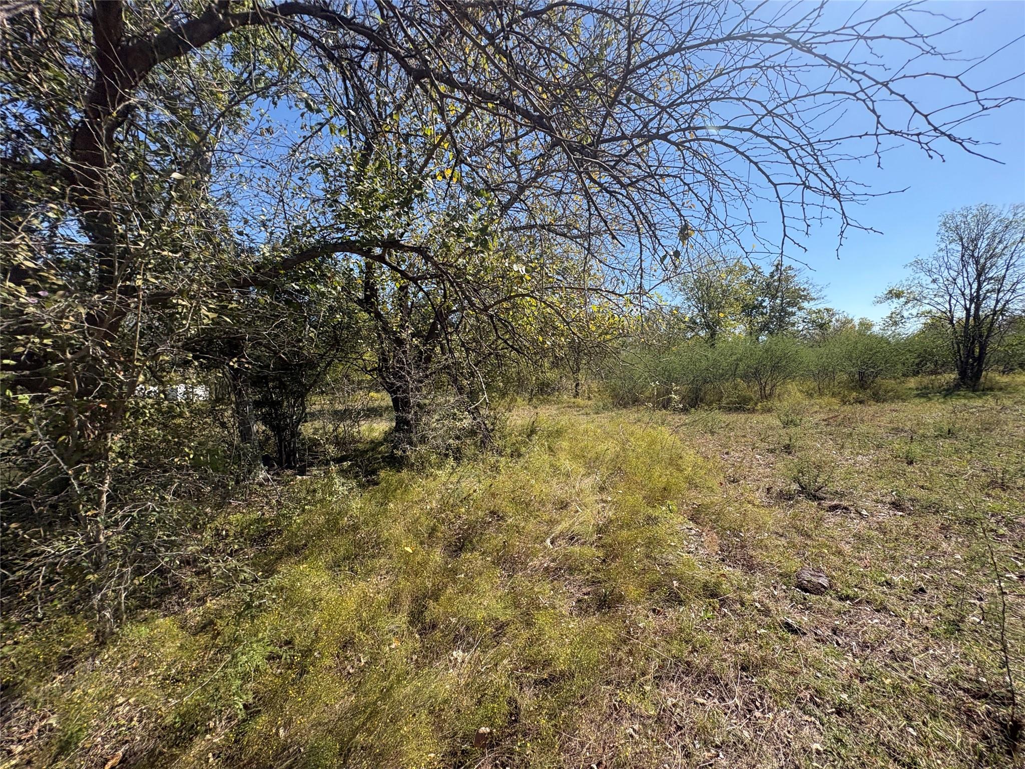13.051 Acres Independence Drive, Bedias Tx 77831 Property Photo 38