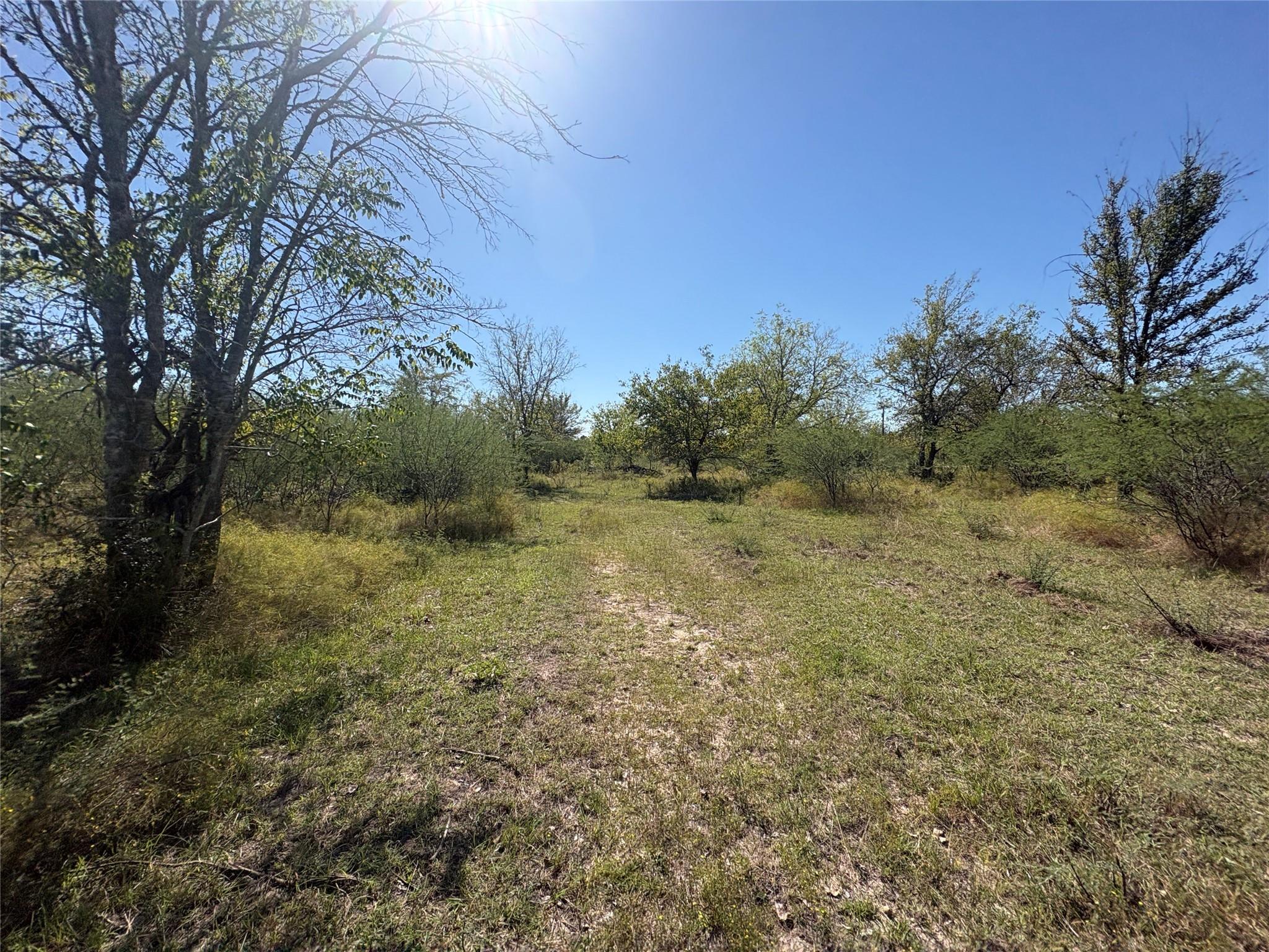 13.051 Acres Independence Drive, Bedias Tx 77831 Property Photo 39