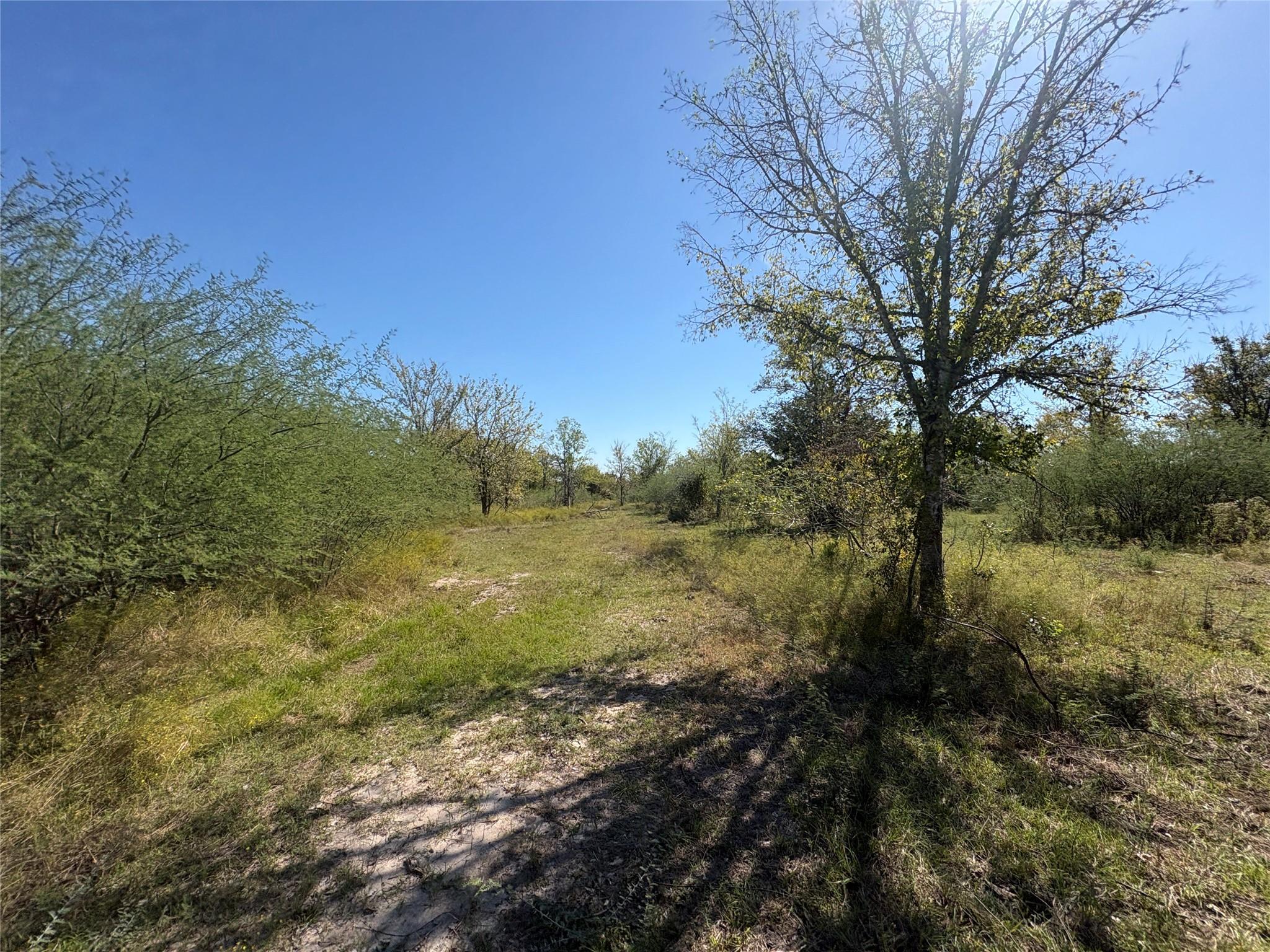 13.051 Acres Independence Drive, Bedias Tx 77831 Property Photo 40
