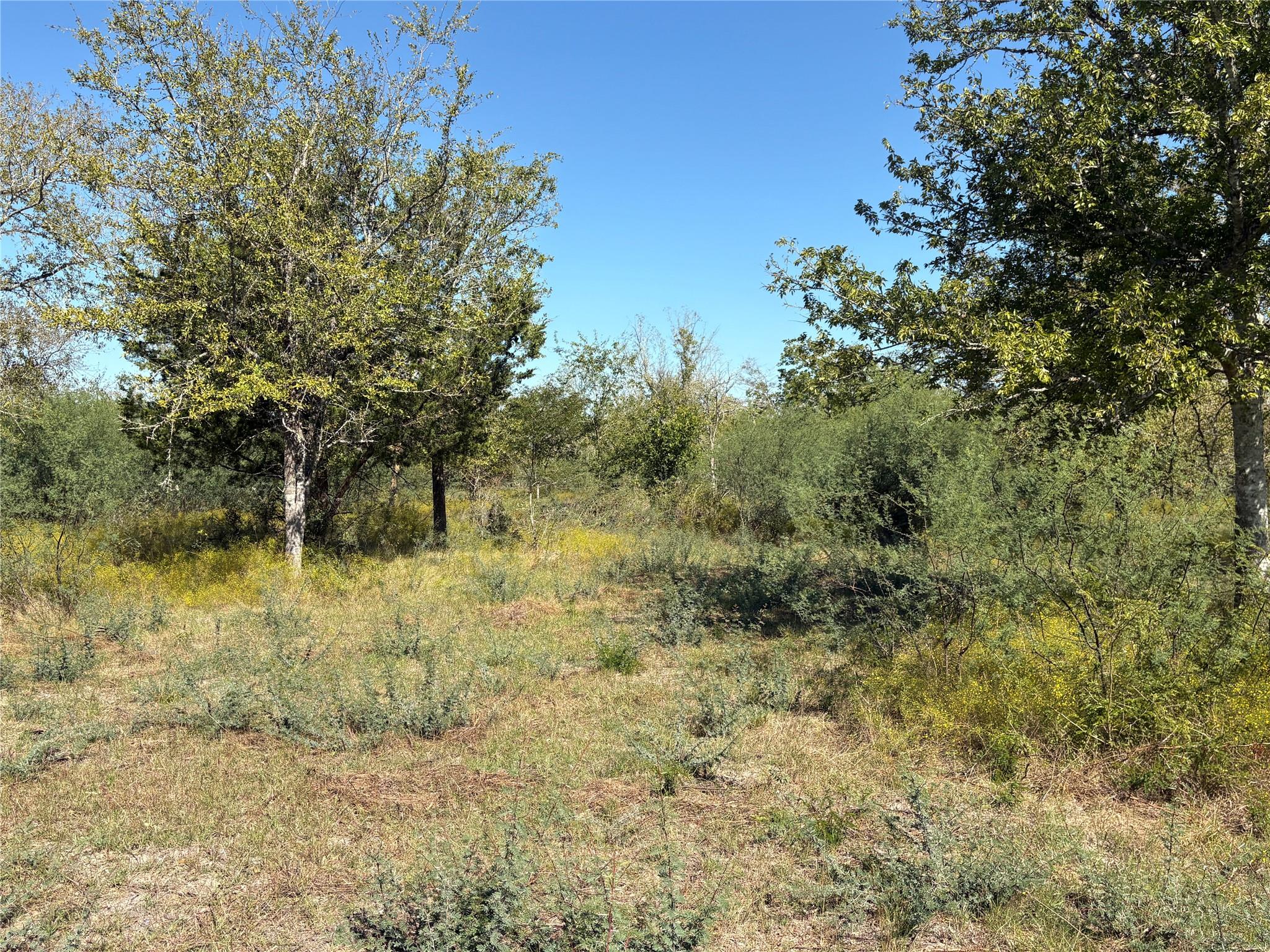 13.051 Acres Independence Drive, Bedias Tx 77831 Property Photo 41