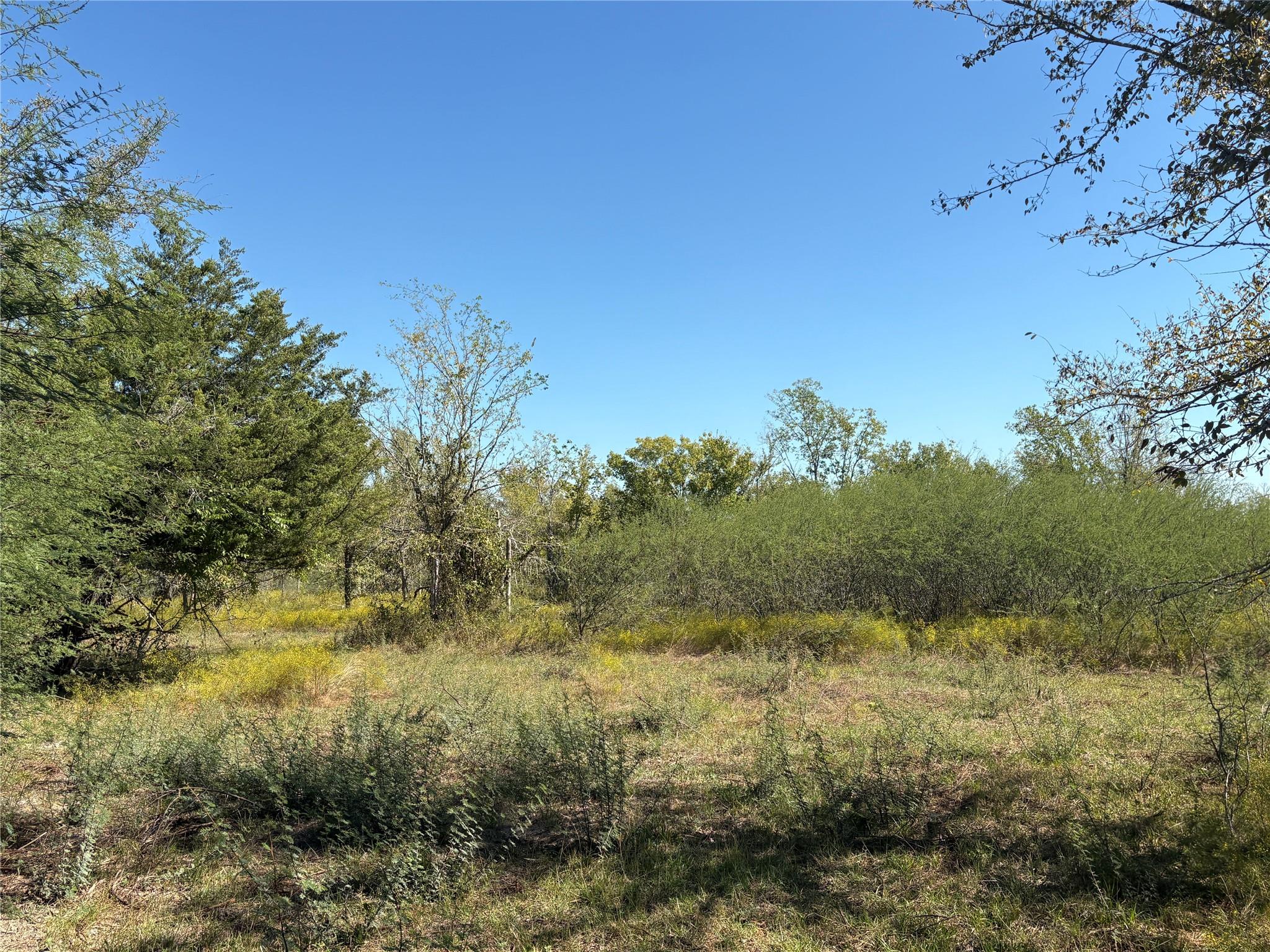 13.051 Acres Independence Drive, Bedias Tx 77831 Property Photo 42