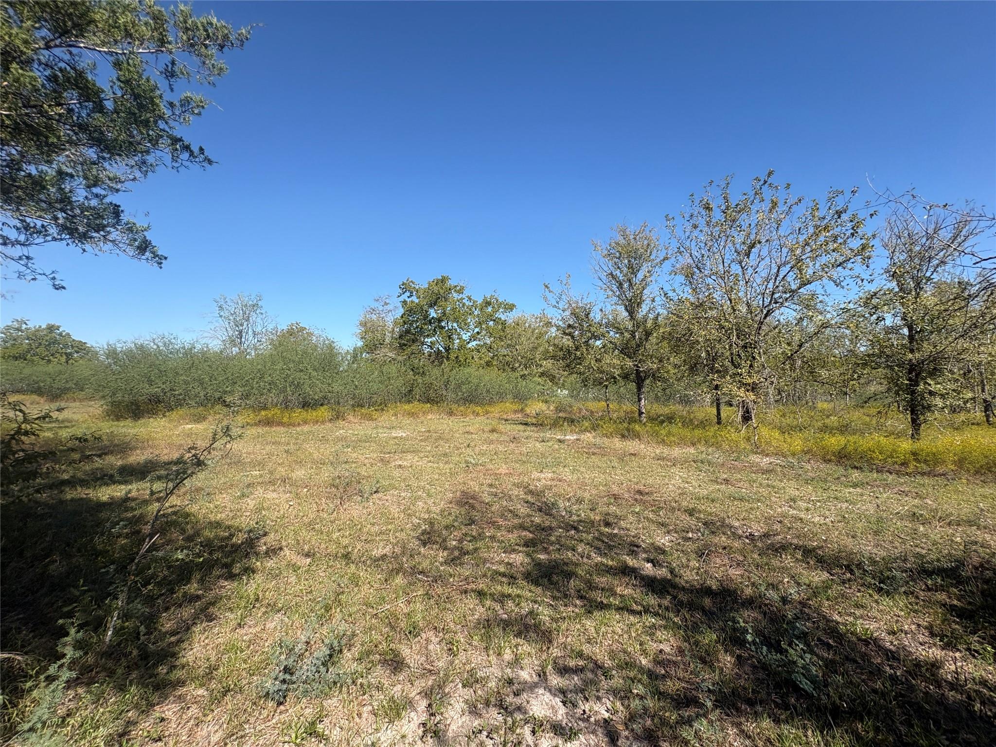 13.051 Acres Independence Drive, Bedias Tx 77831 Property Photo 43