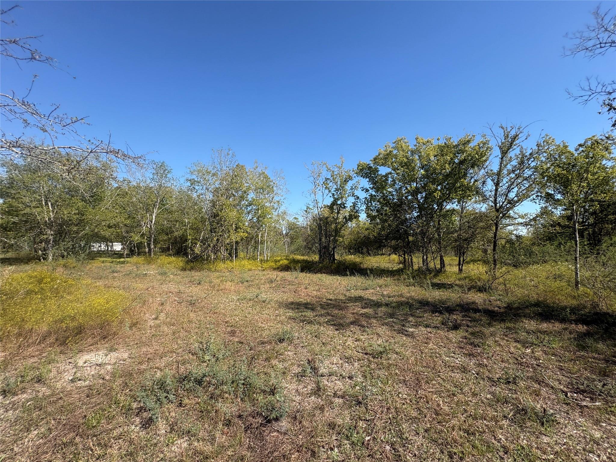 13.051 Acres Independence Drive, Bedias Tx 77831 Property Photo 44