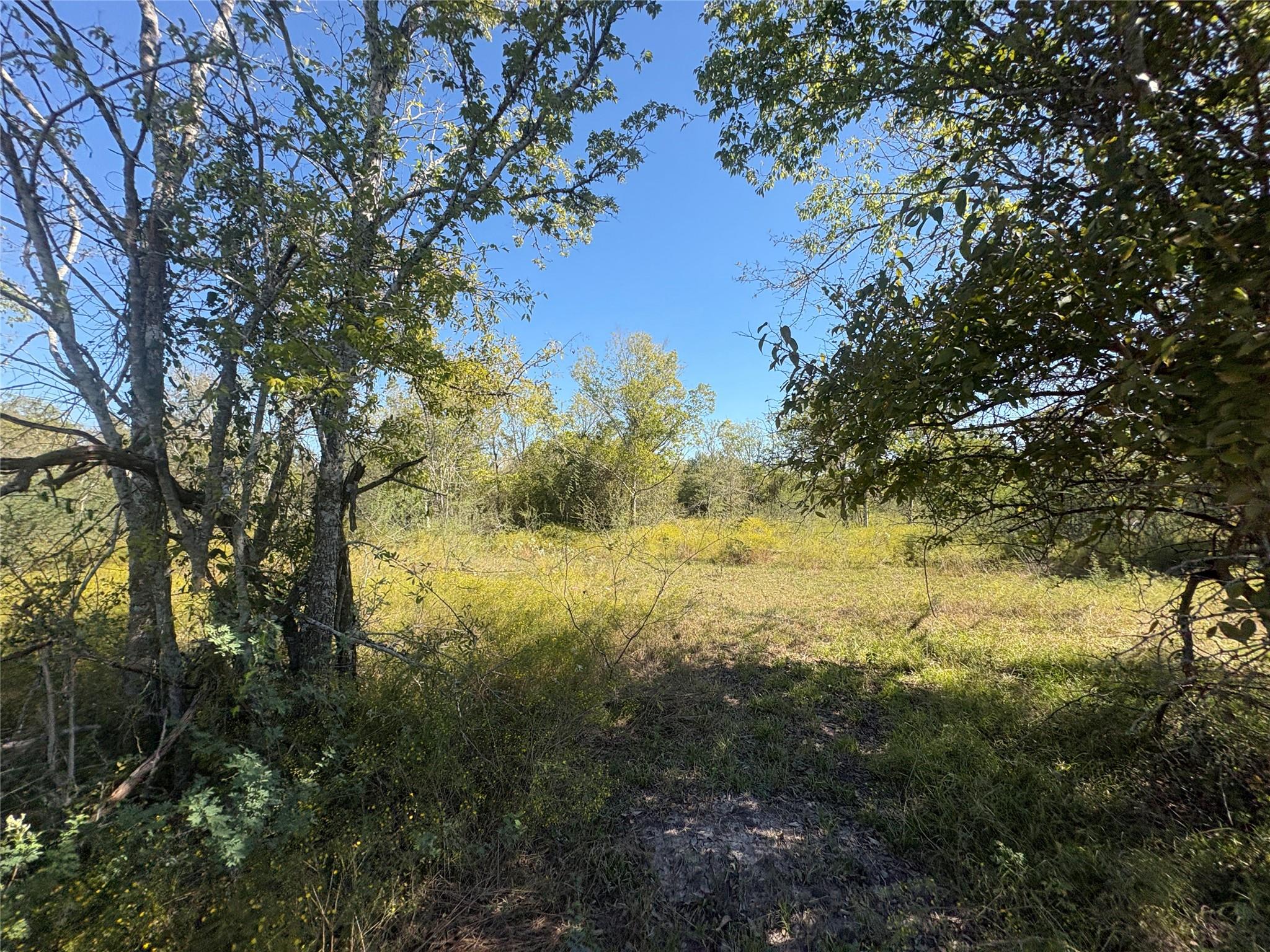 13.051 Acres Independence Drive, Bedias Tx 77831 Property Photo 45