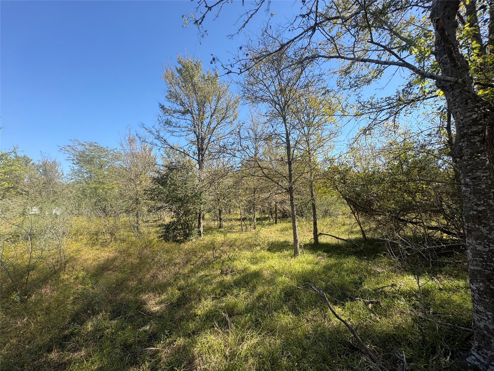 13.051 Acres Independence Drive, Bedias Tx 77831 Property Photo 46