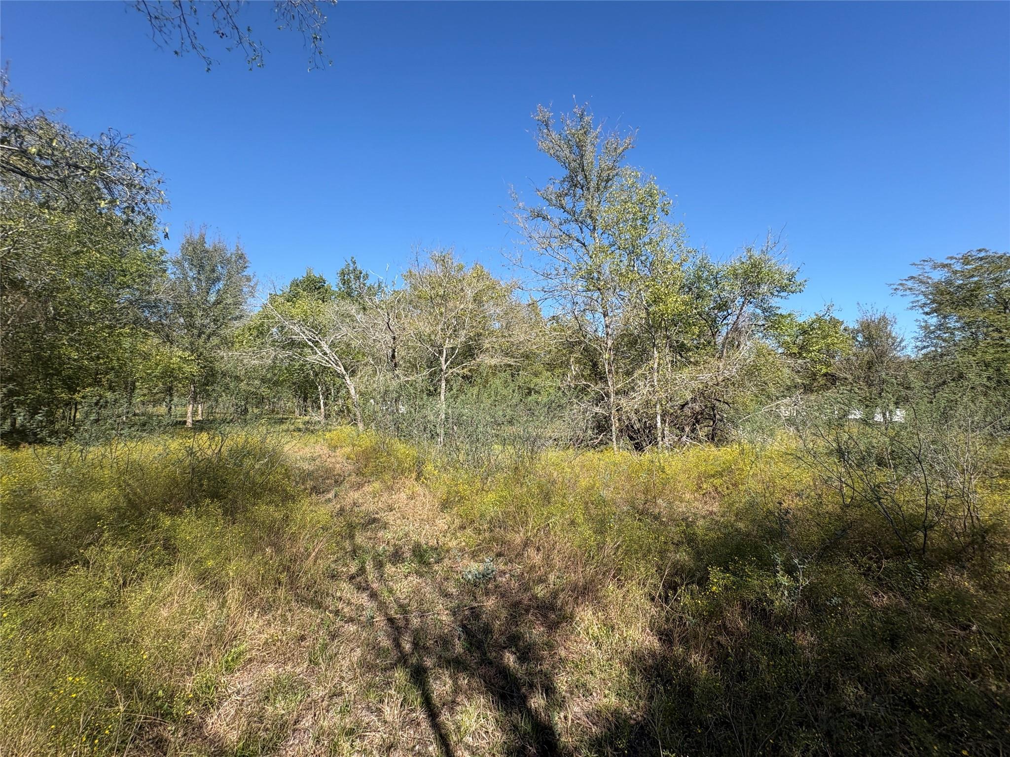 13.051 Acres Independence Drive, Bedias Tx 77831 Property Photo 47