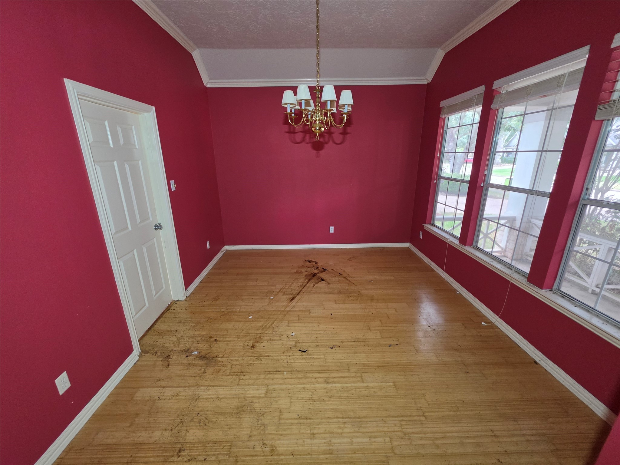 10218 Cherry Laurel Lane Property Photo 3