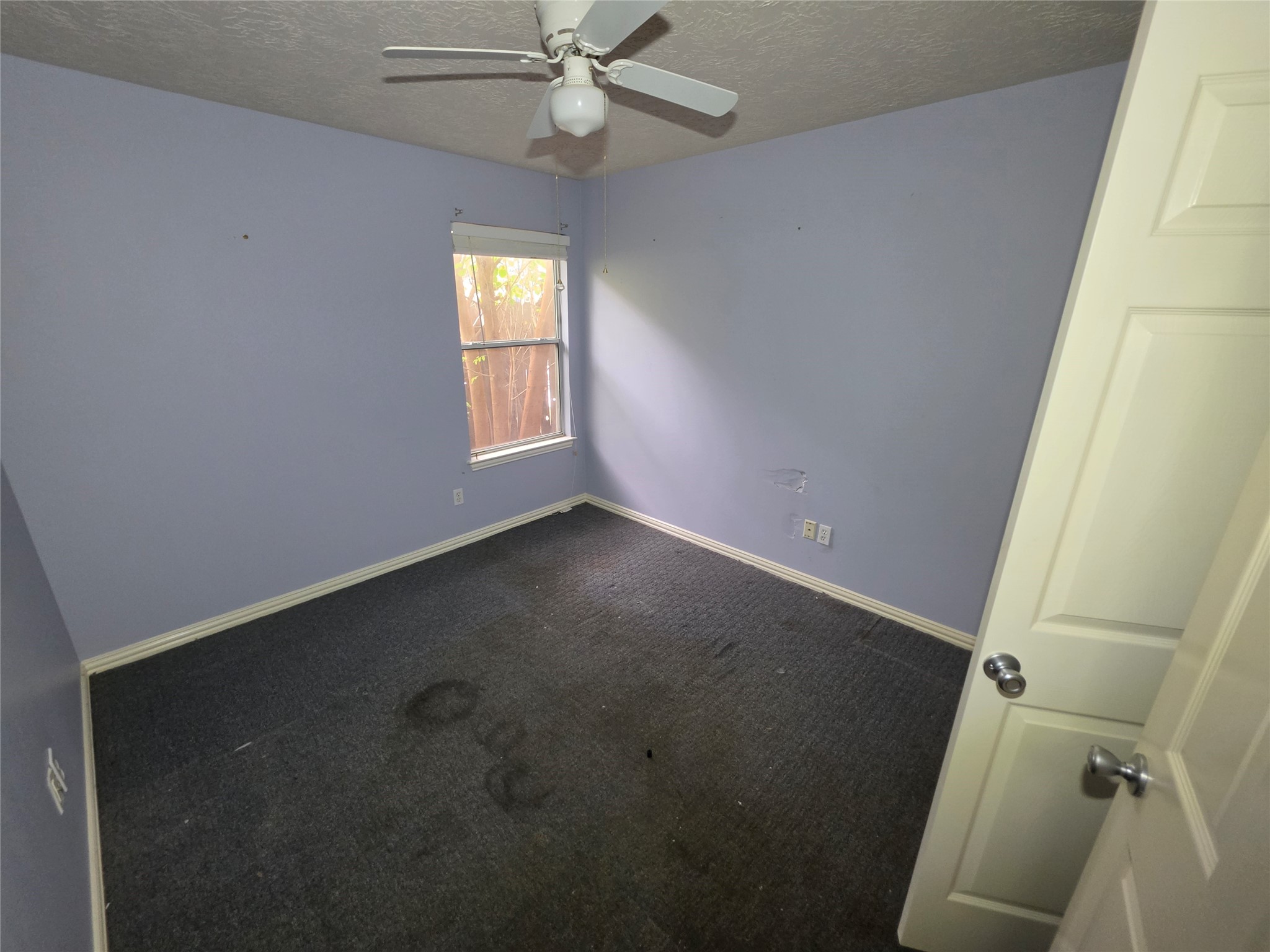 10218 Cherry Laurel Lane Property Photo 18