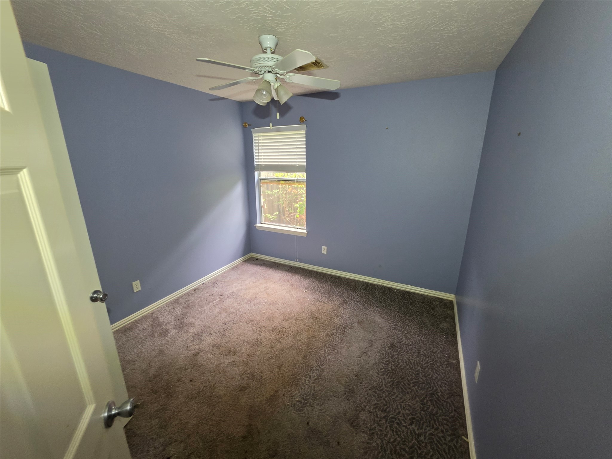 10218 Cherry Laurel Lane Property Photo 21