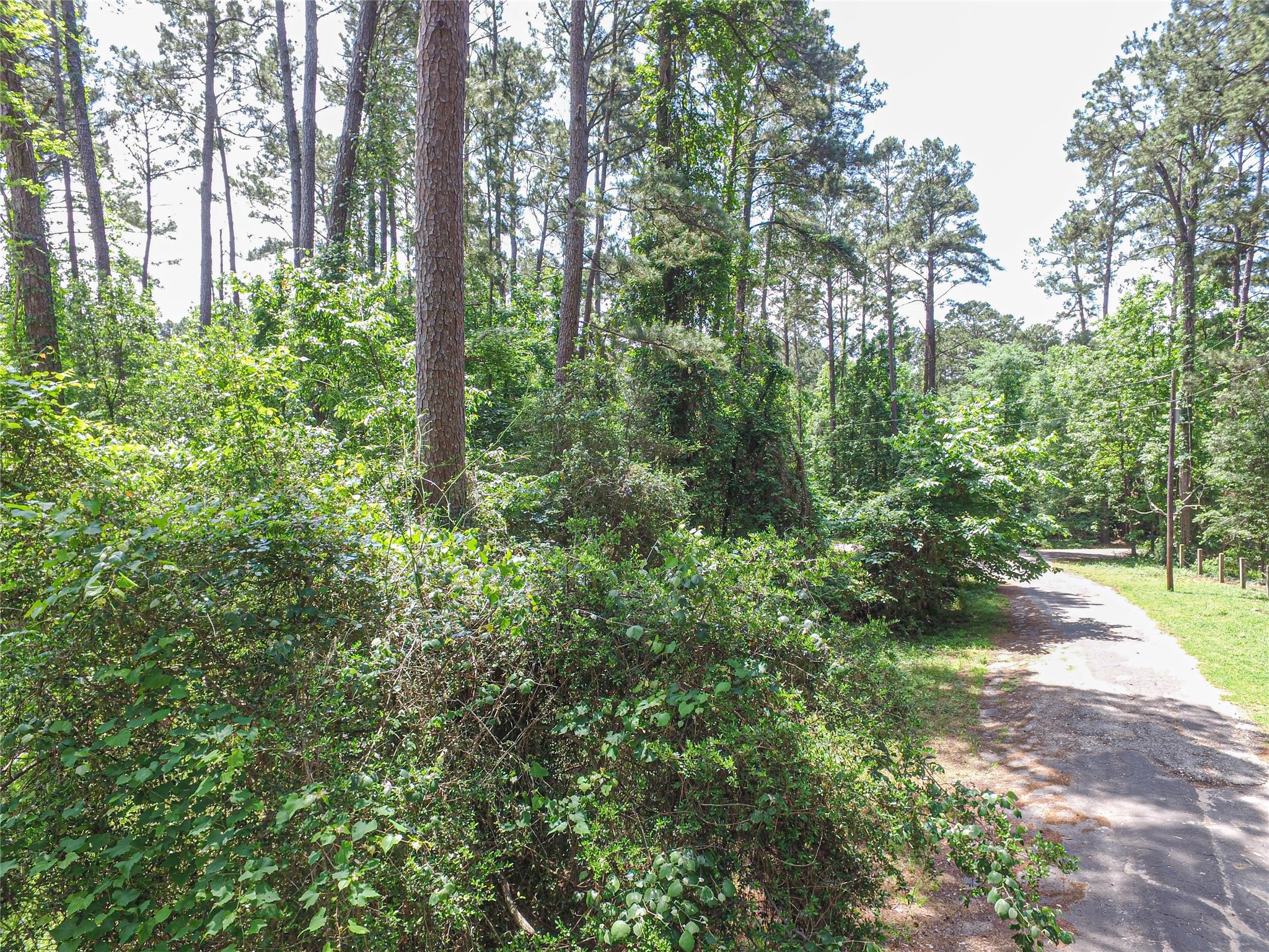 TBD Grand Pine Property Photo 1