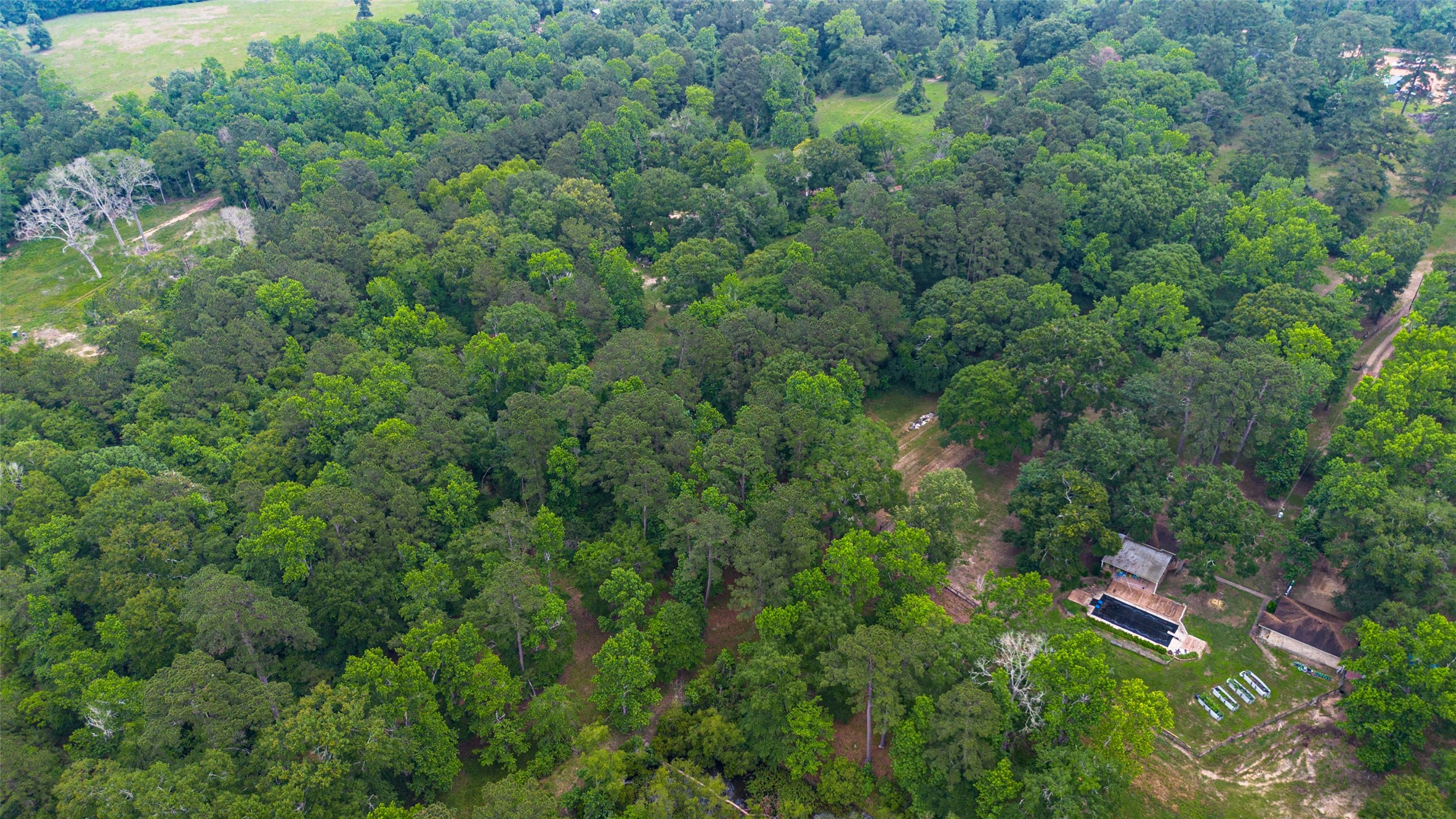 350 Major Road Property Photo 9