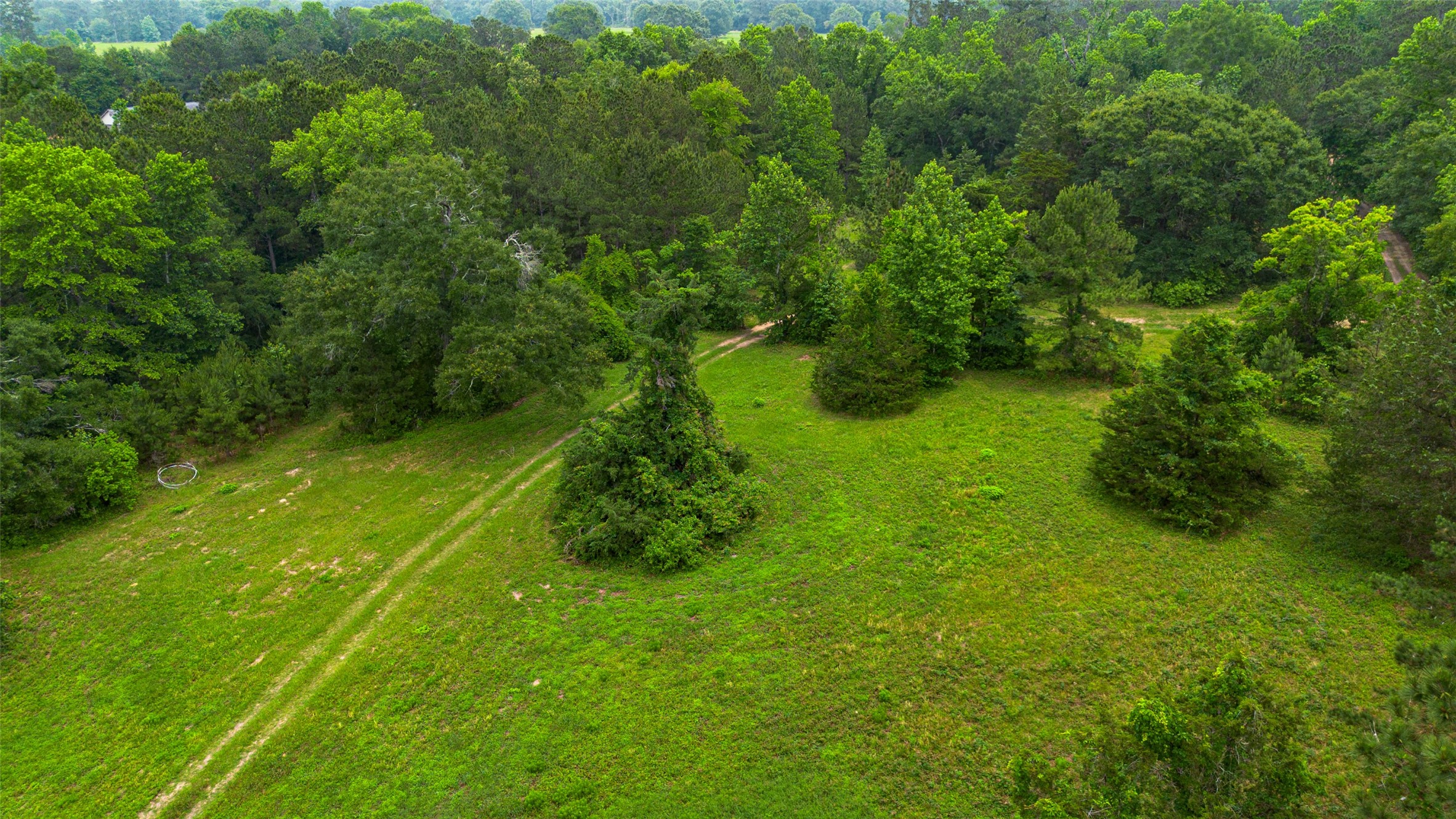 350 Major Road Property Photo 12