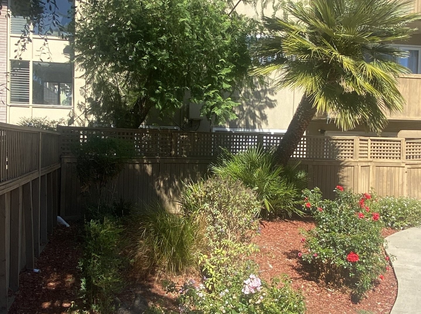 959 Torrano Avenue Property Photo 9