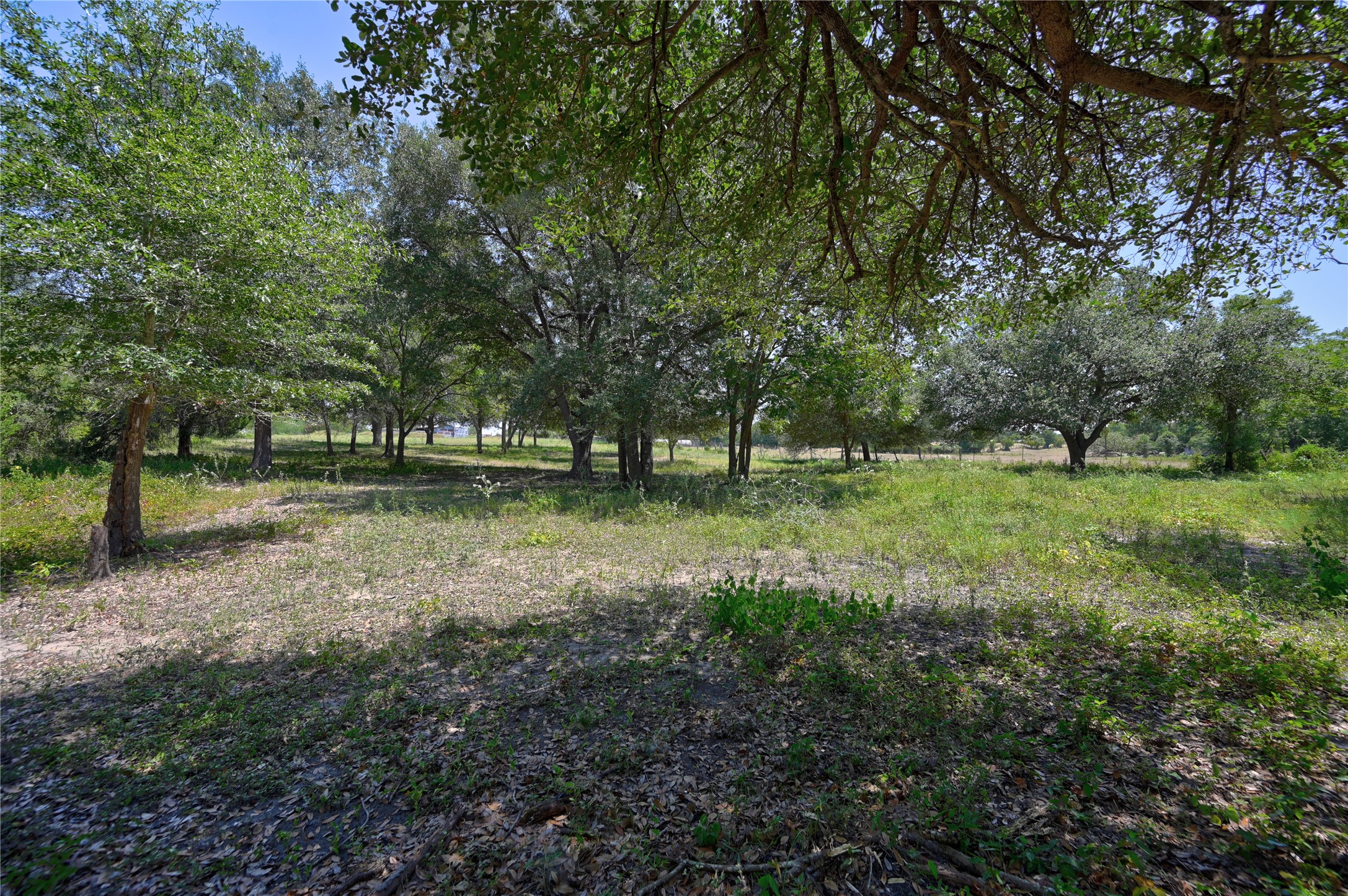 19100 Pickens Property Photo 9