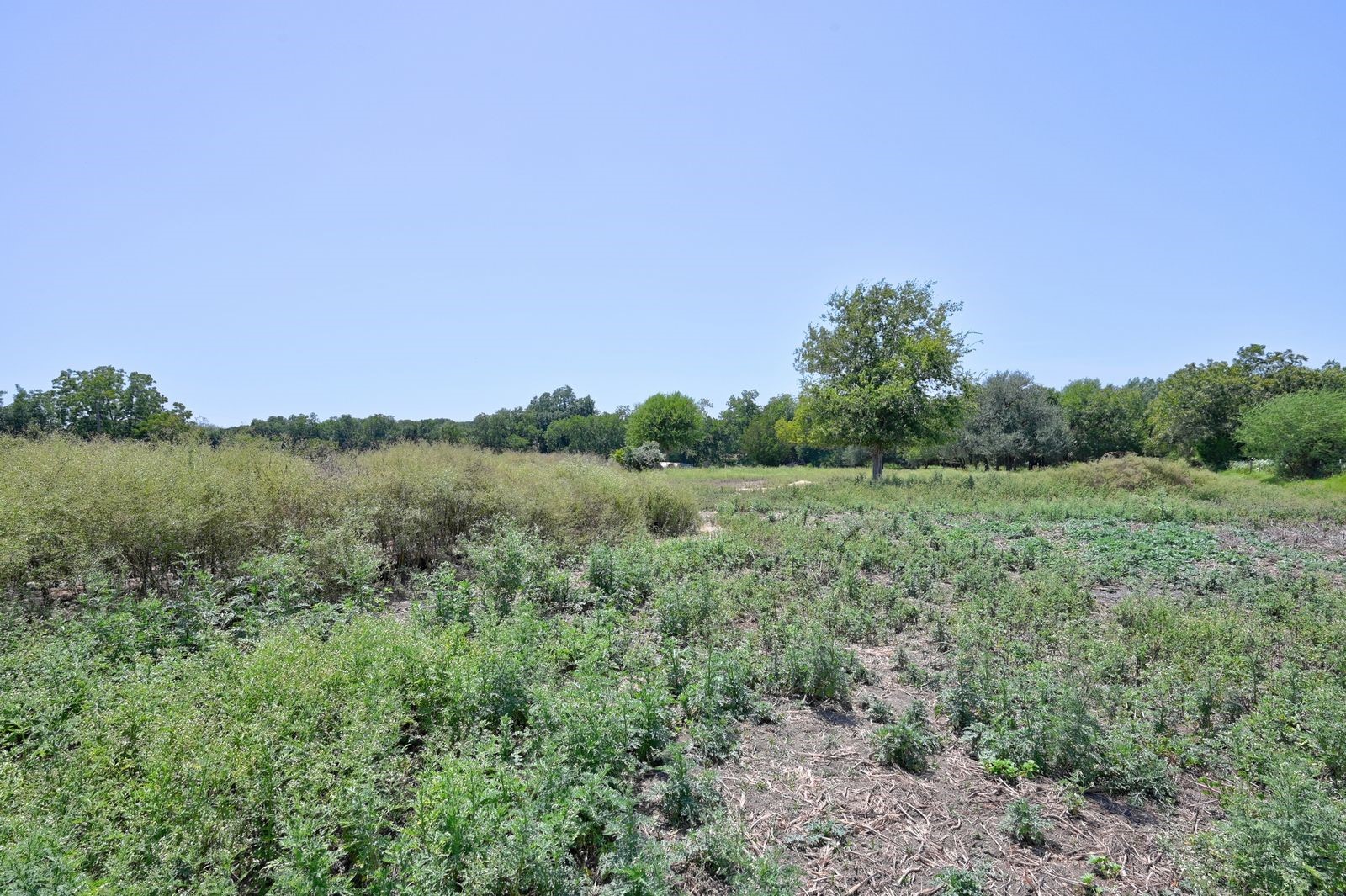 19100 Pickens Property Photo 12
