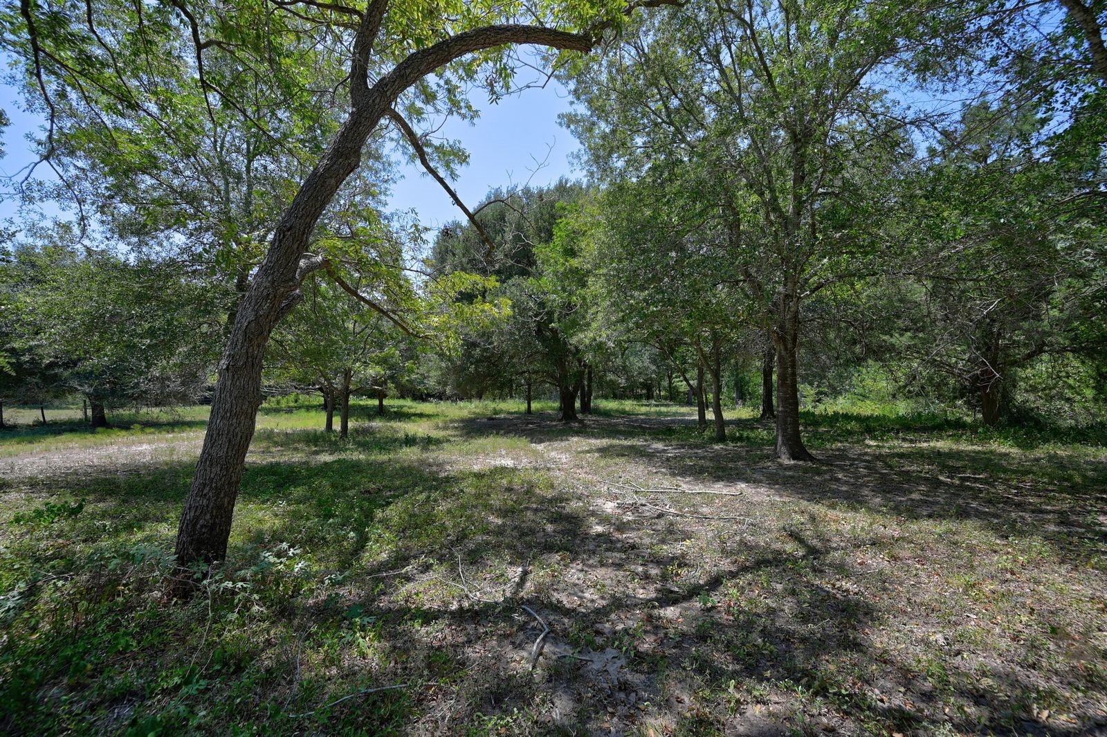 19100 Pickens Property Photo 14