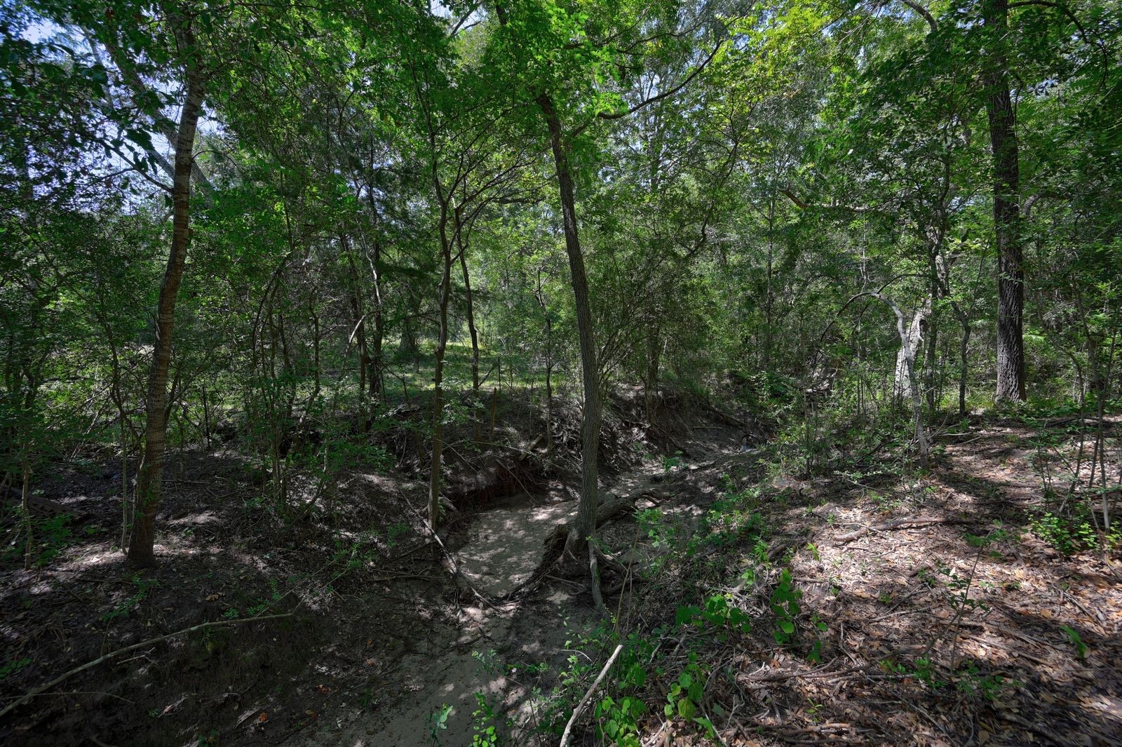 19100 Pickens Property Photo 20