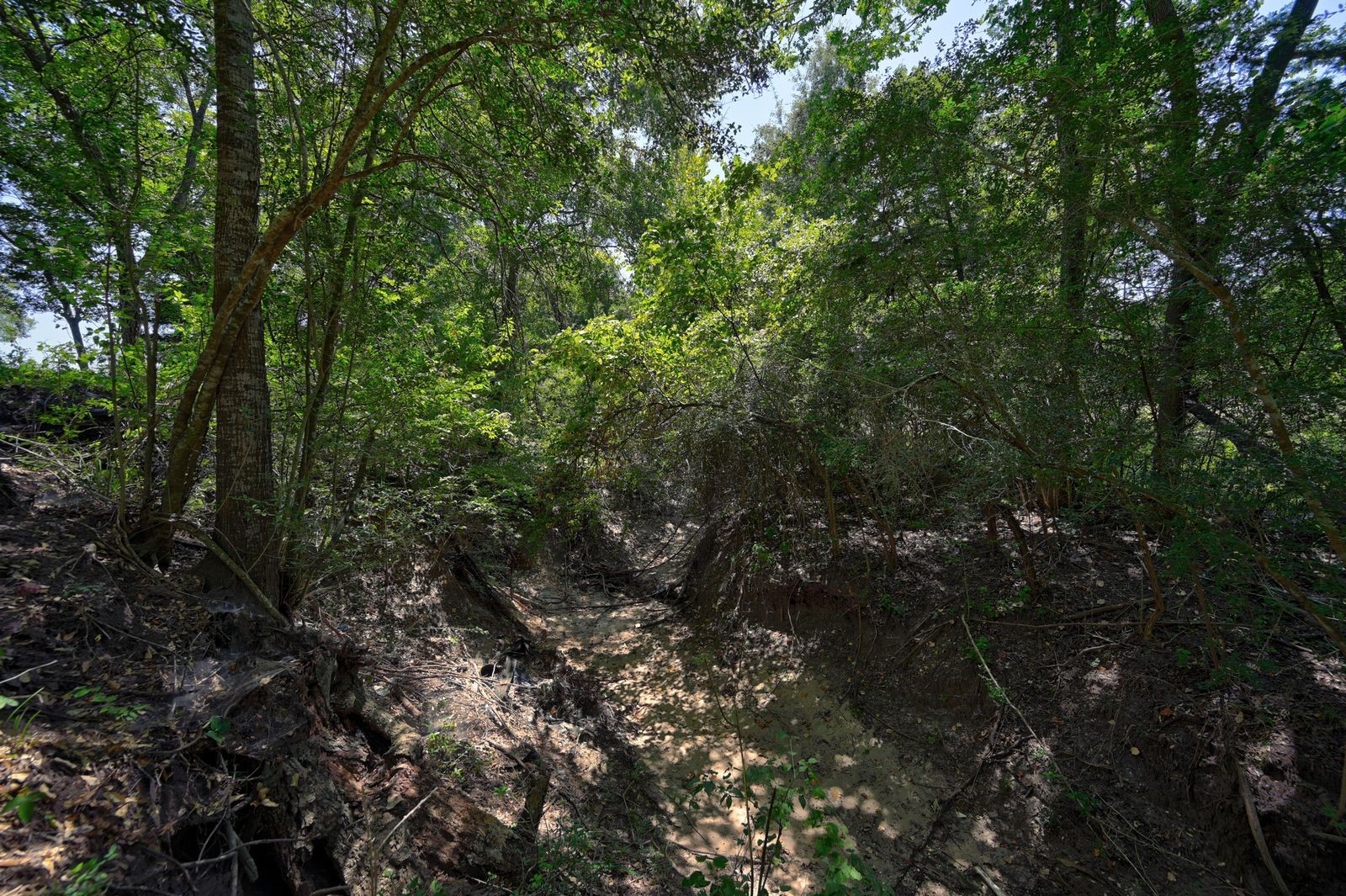 19100 Pickens Property Photo 21