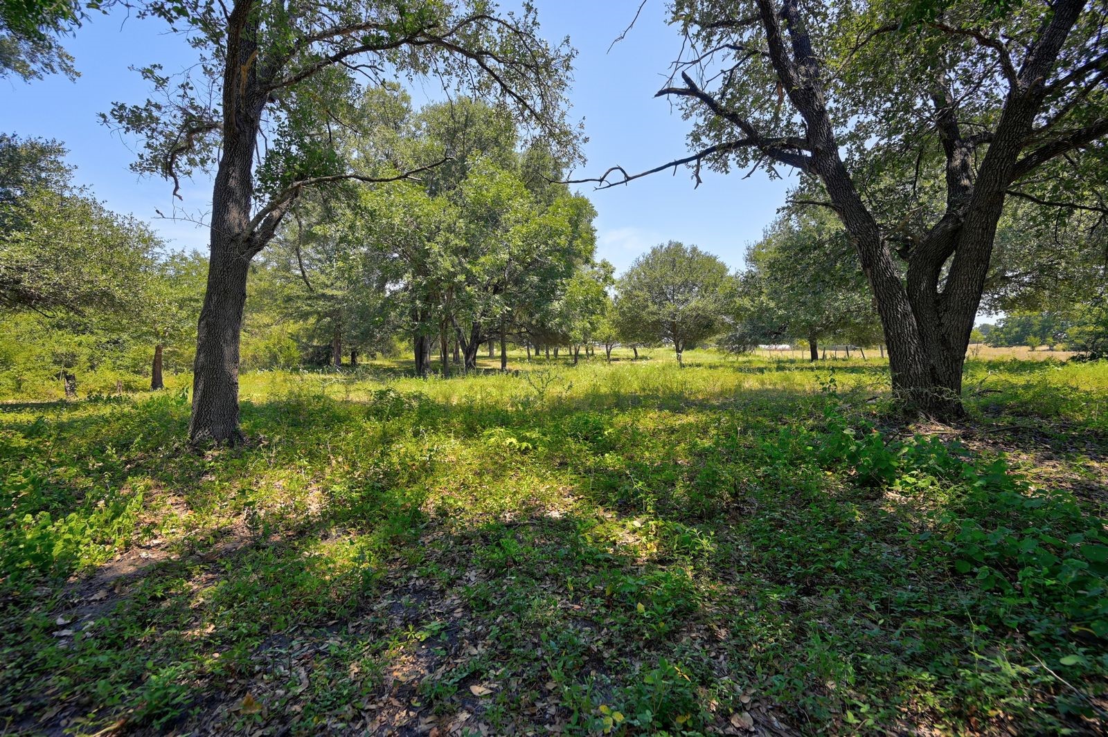 19100 Pickens Property Photo 22