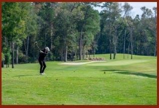 9438 Pacific Crest Court Property Photo 30