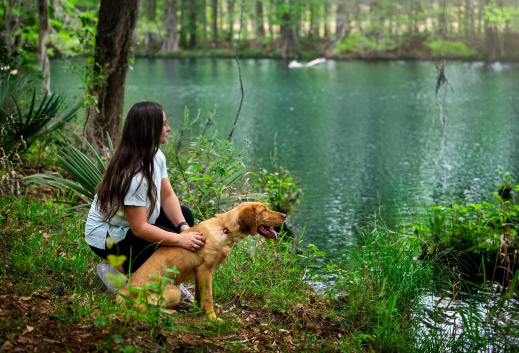 9438 Pacific Crest Court Property Photo 37