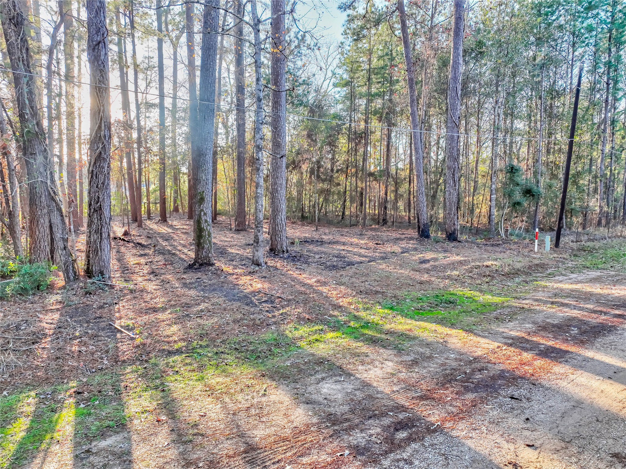 171 Pine Shadow Street Property Photo 1