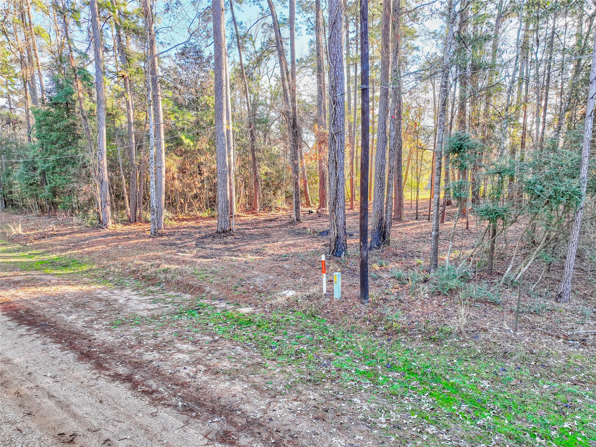 171 Pine Shadow Street Property Photo 2