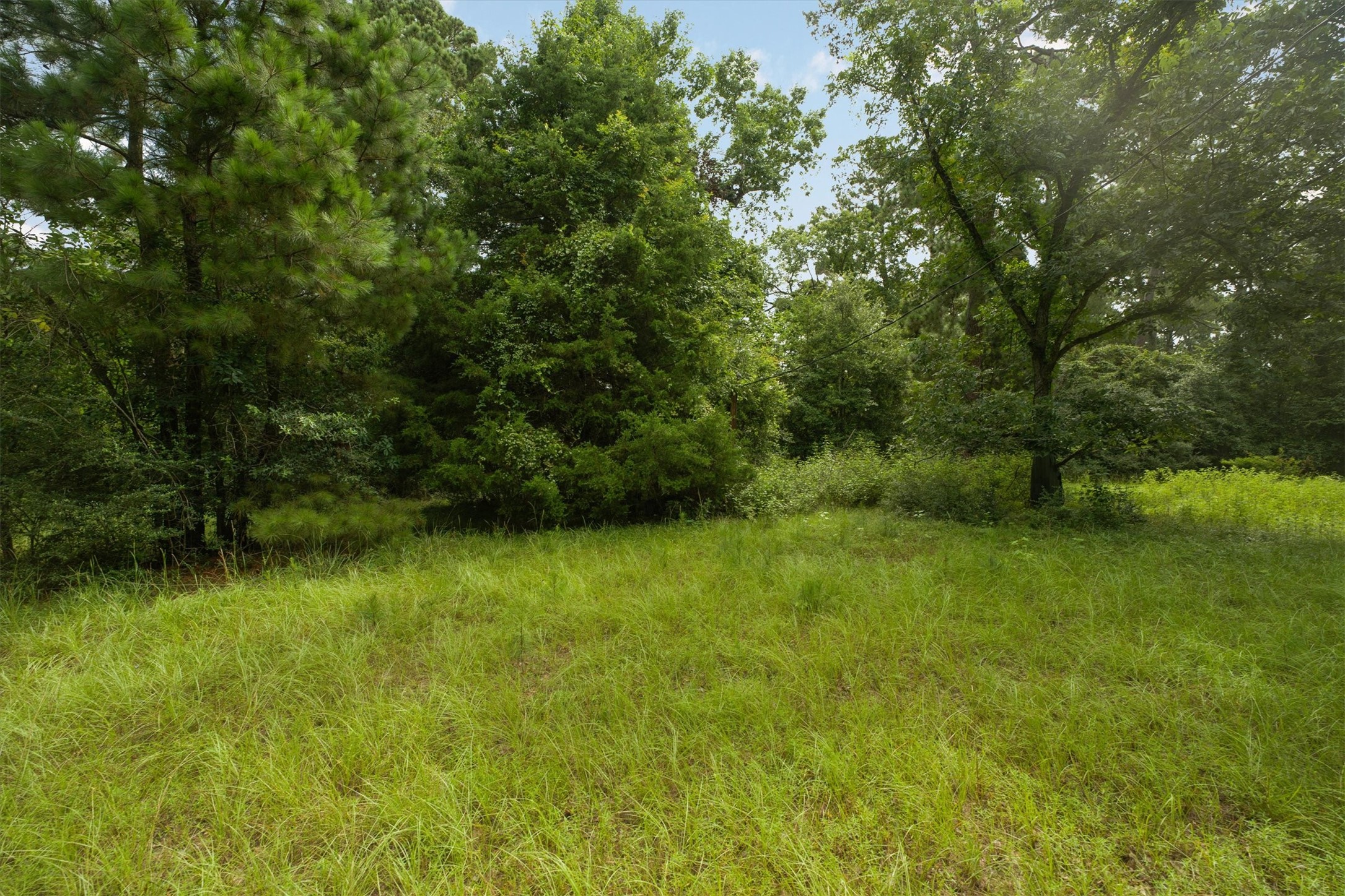 12640 Hwy 105 West Property Photo 8