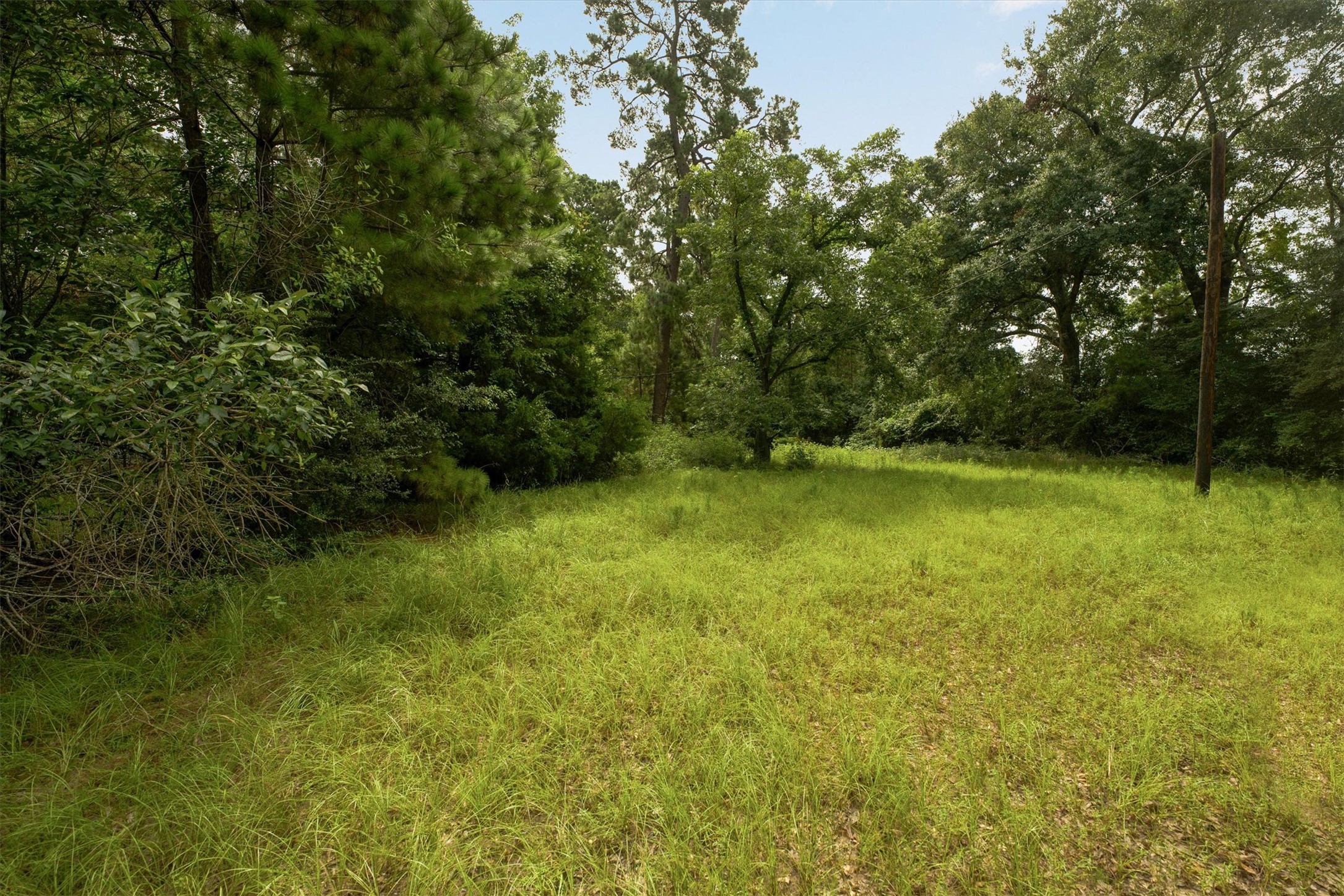 12640 Hwy 105 West Property Photo 10