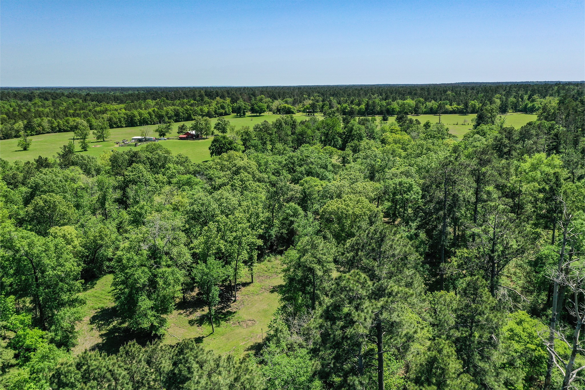 79.3 Acres Reese Rd Property Photo 1