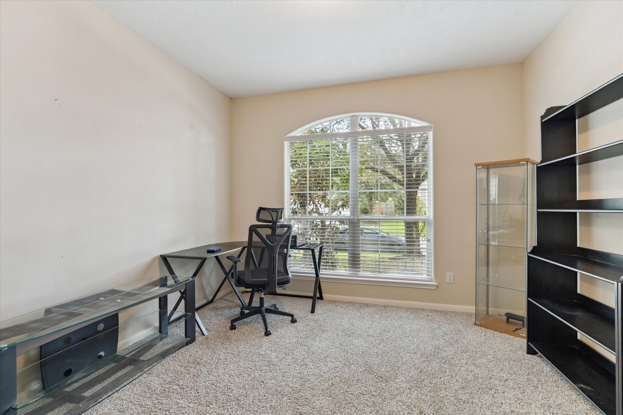 6306 Amelia Springs Drive Property Photo 6