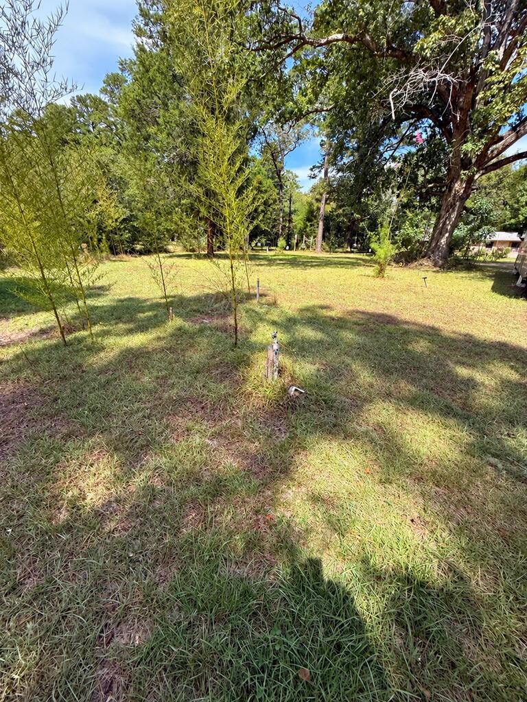 1156 County Road 2132 Property Photo 1