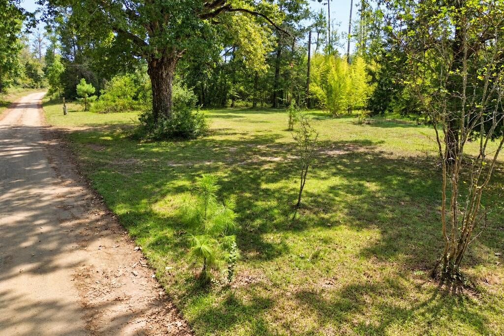 1156 County Road 2132 Property Photo 2