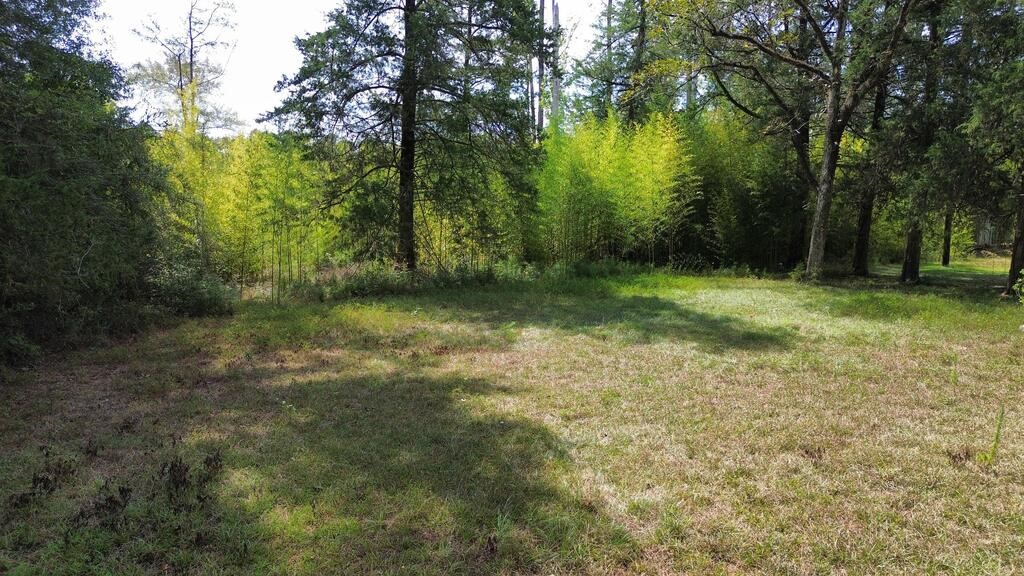 1156 County Road 2132 Property Photo 3