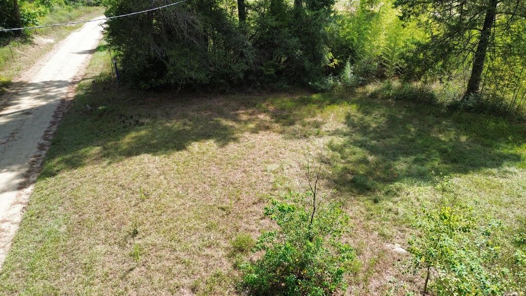 1156 County Road 2132 Property Photo 5