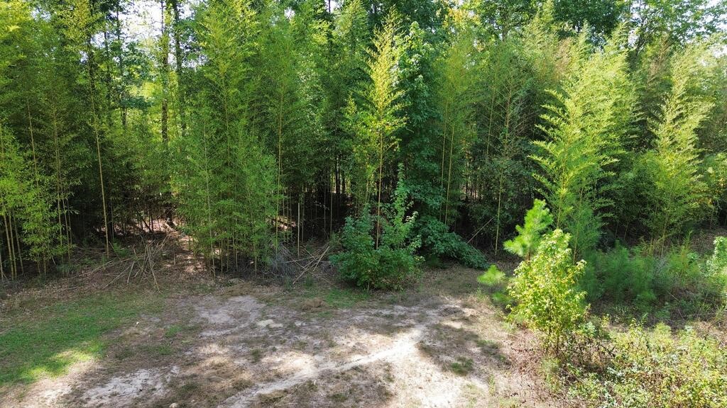 1156 County Road 2132 Property Photo 6