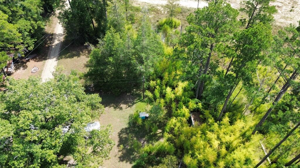 1156 County Road 2132 Property Photo 7