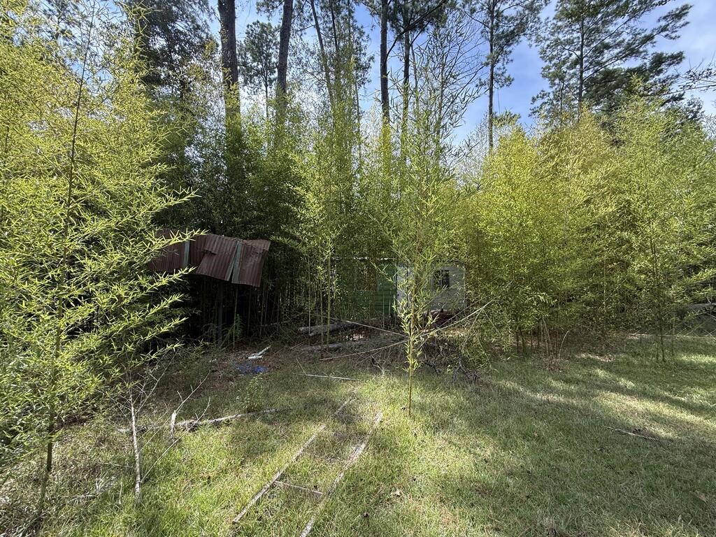 1156 County Road 2132 Property Photo 10