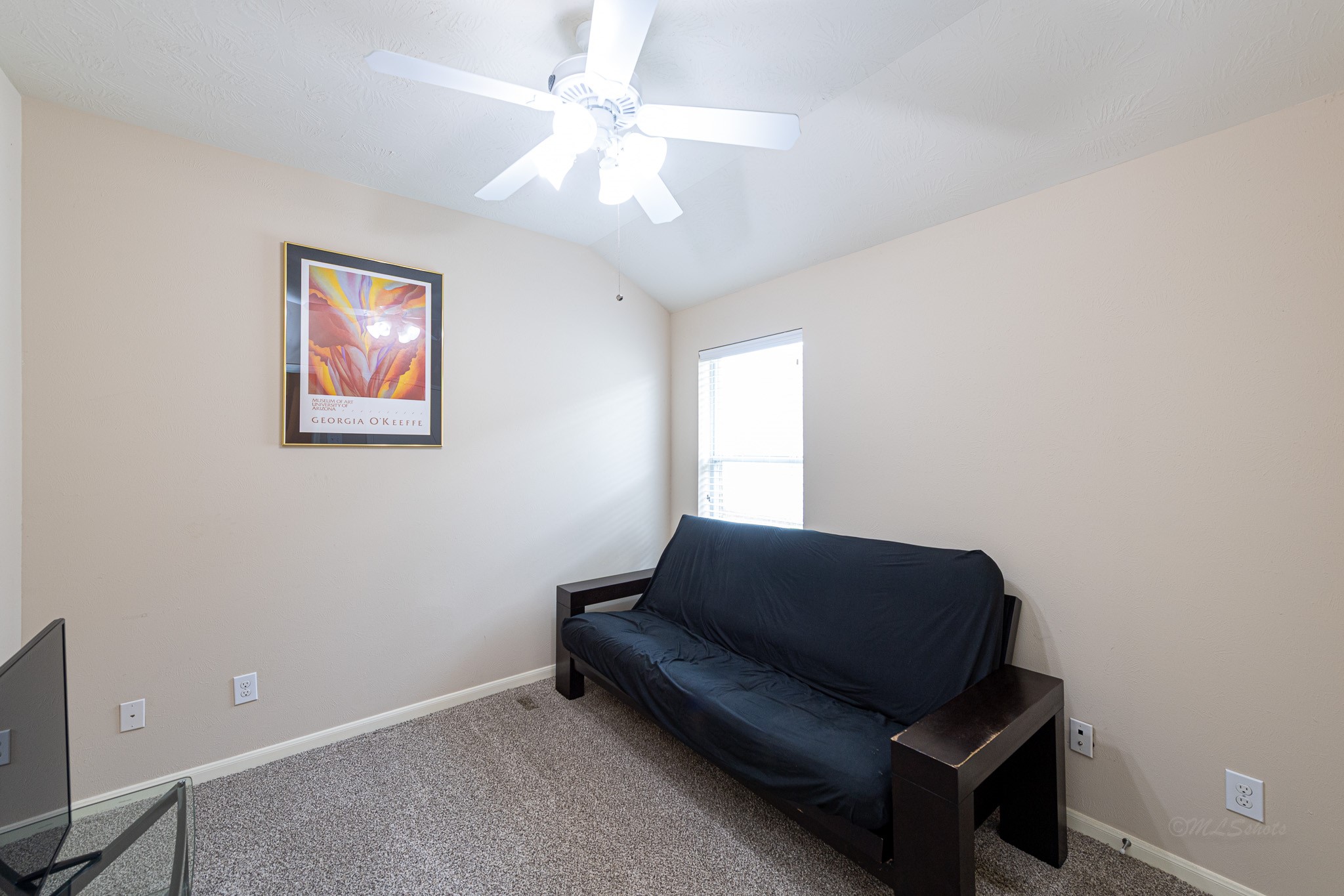522 Arbor Green Lane Property Photo 21