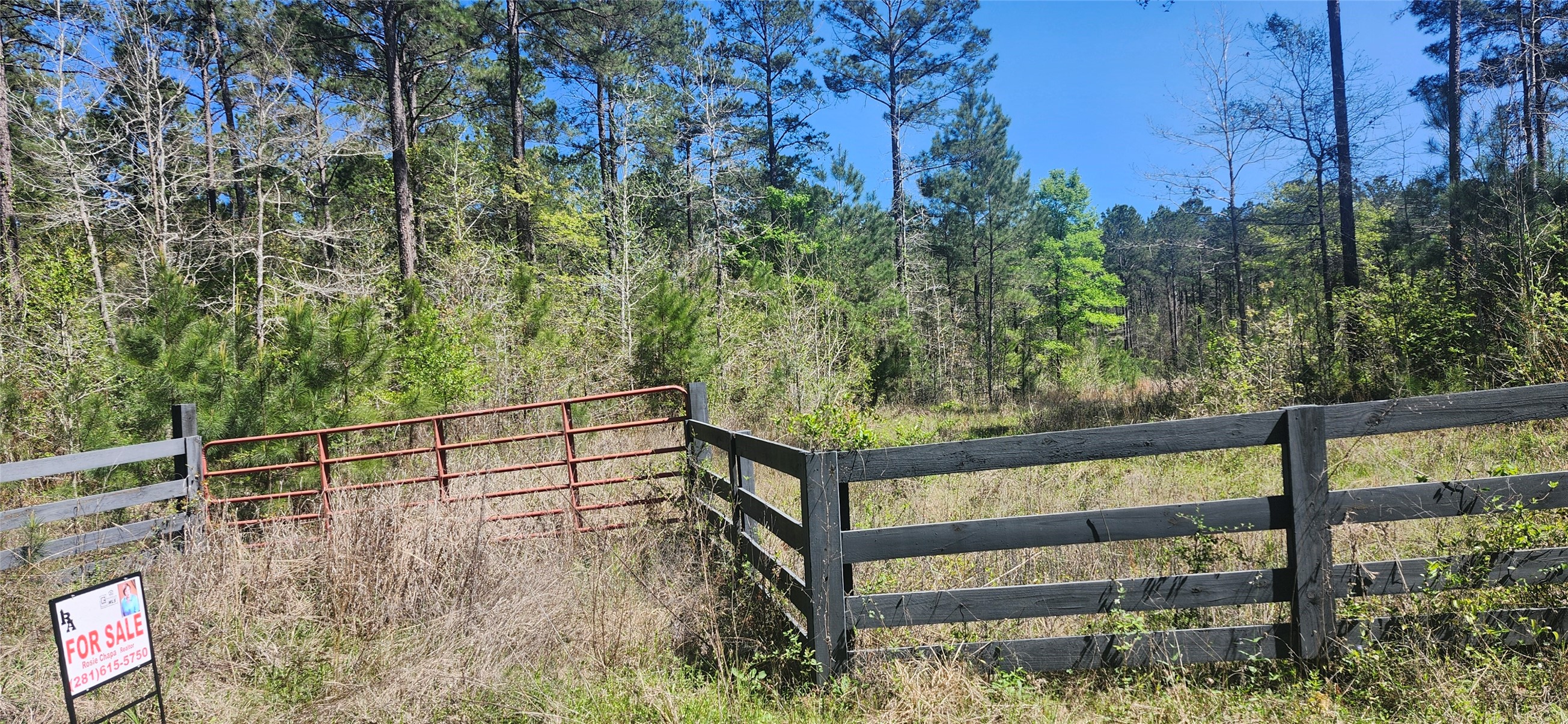 668 Wheeler Road Property Photo 4