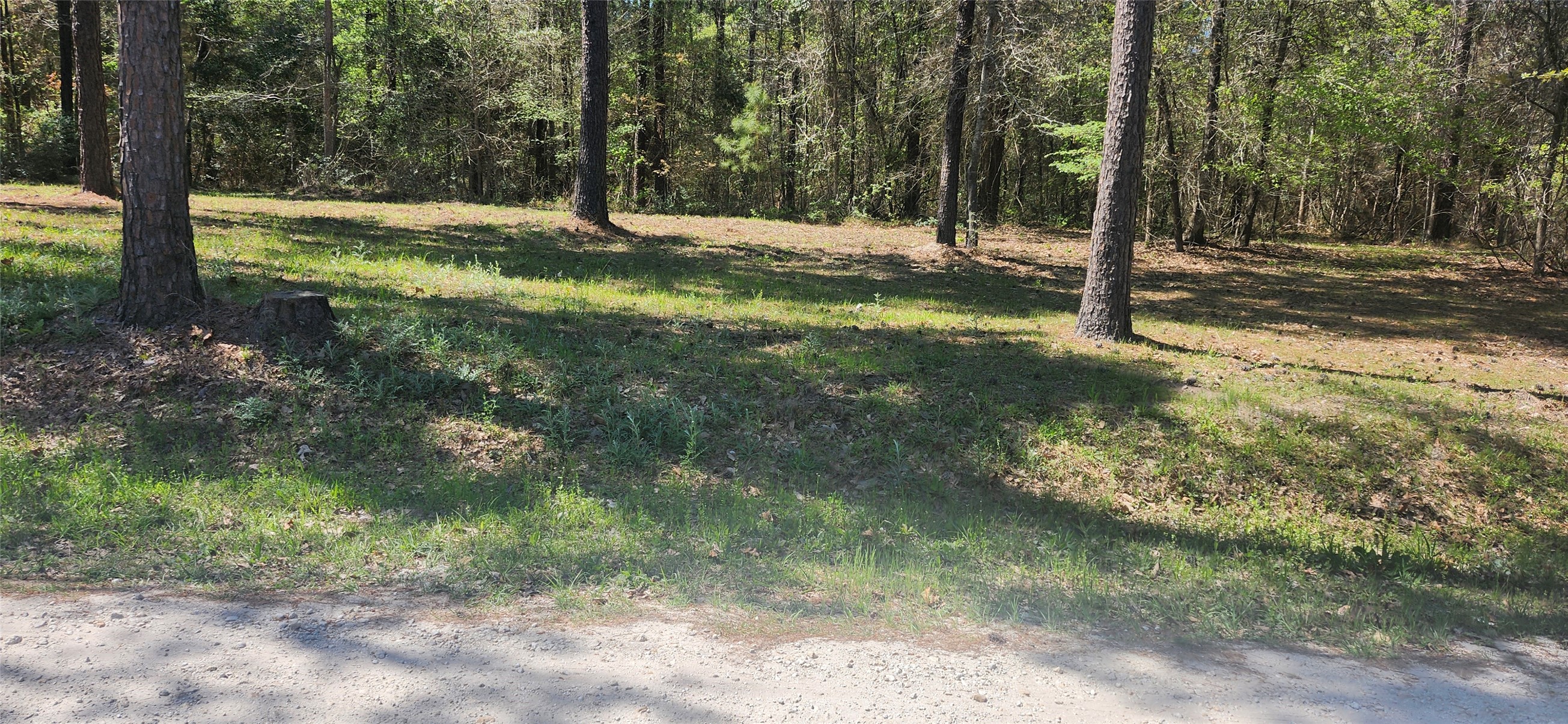 668 Wheeler Road Property Photo 5