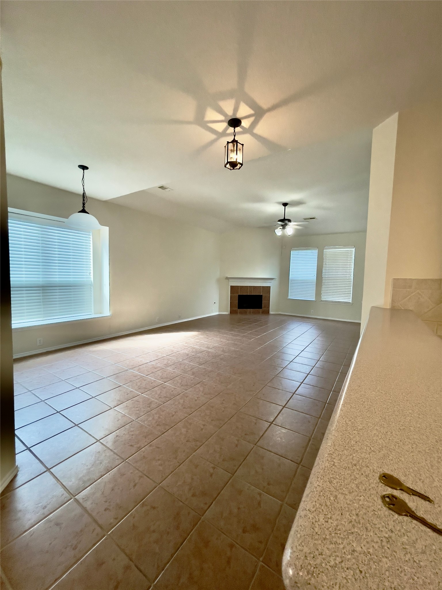 3514 Leaf Vines Drive Property Photo 16