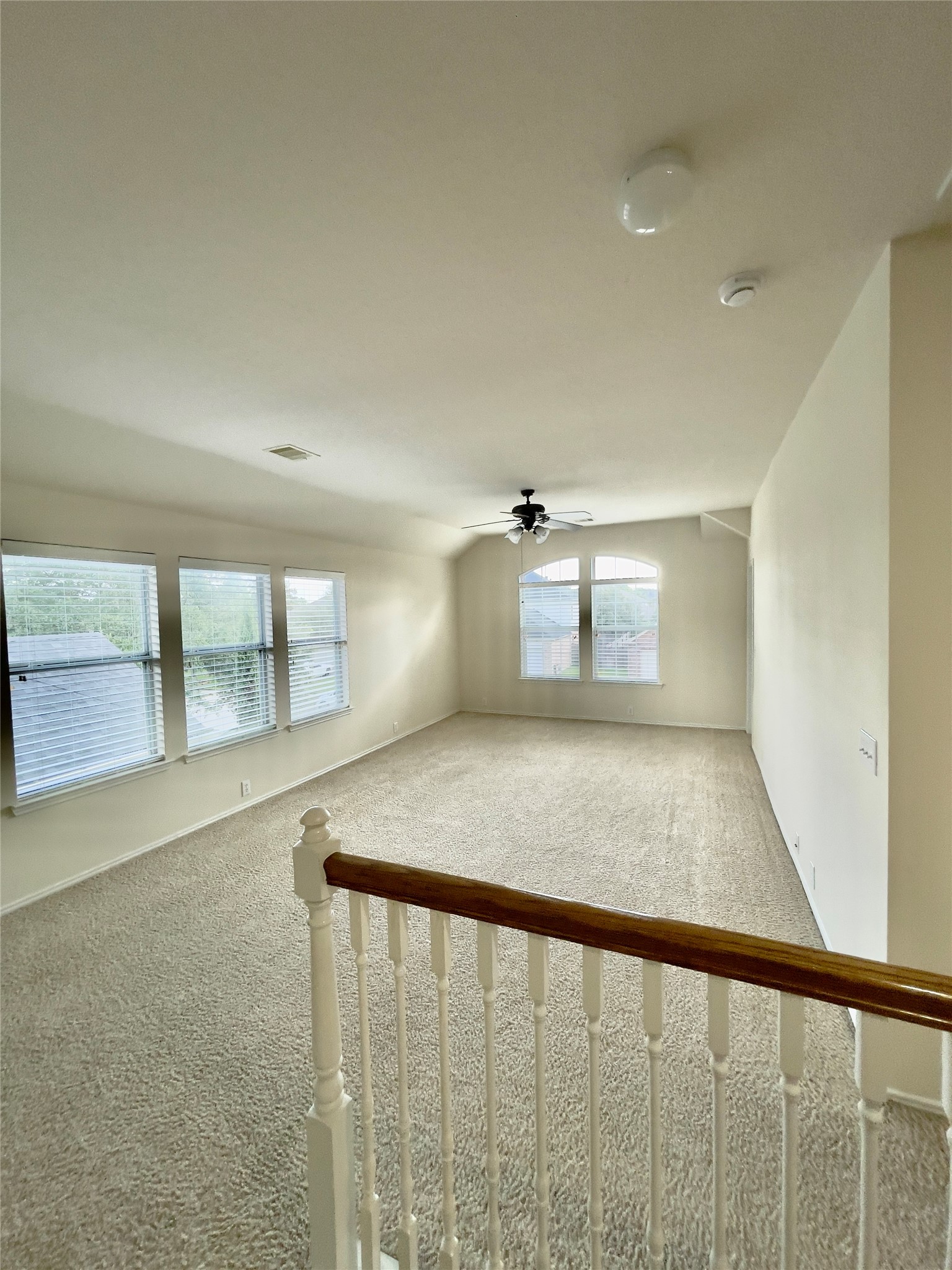 3514 Leaf Vines Drive Property Photo 28