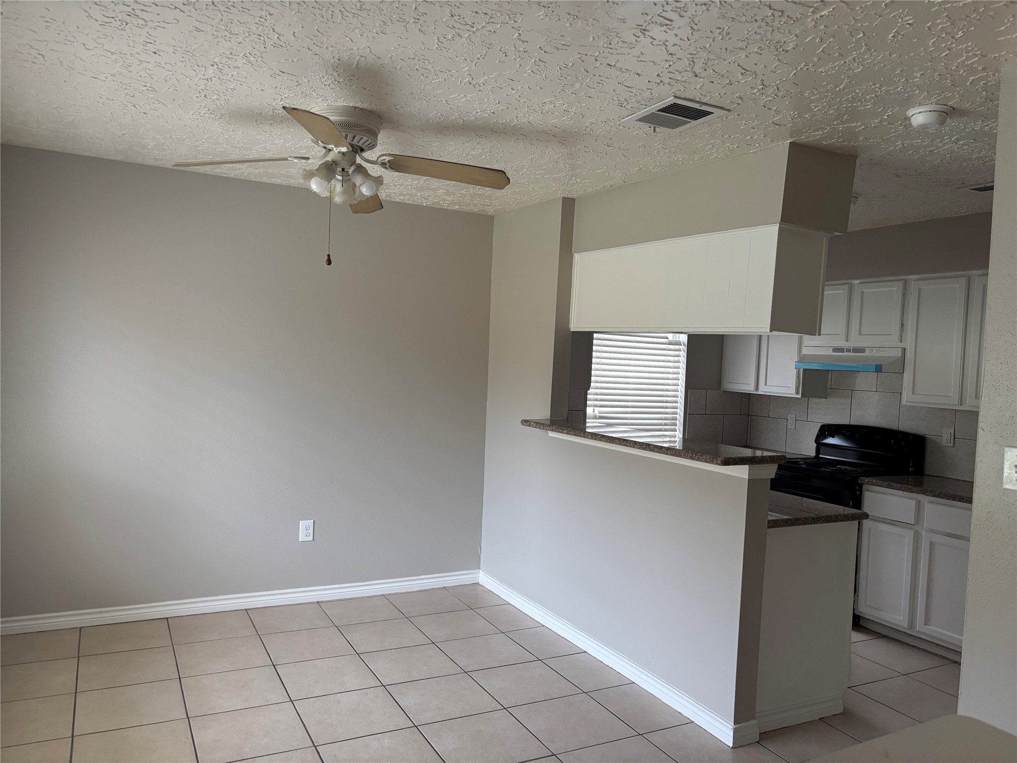 13015 Birch Grove Drive Property Photo 3